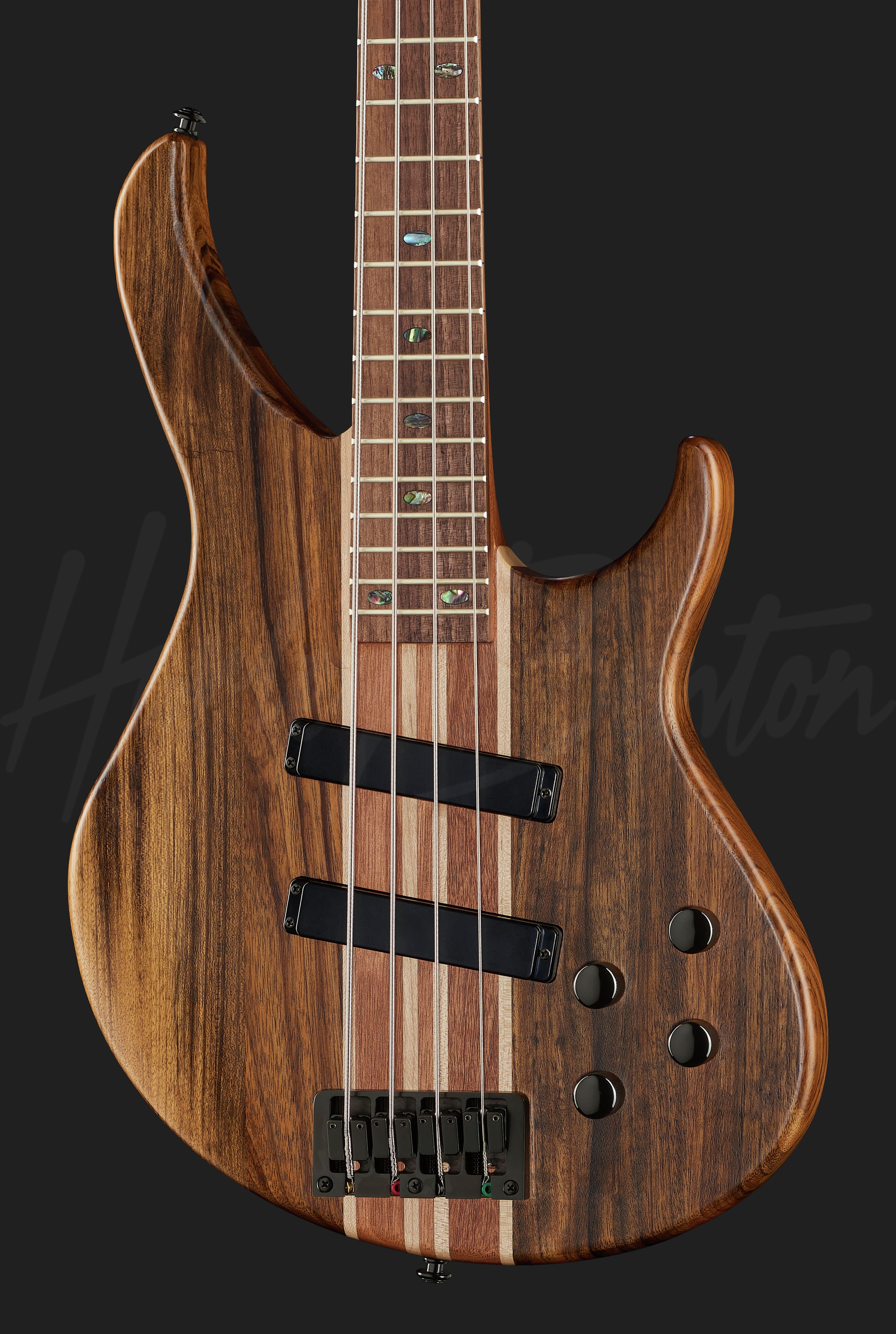 HBZ-2004 - Harley Benton