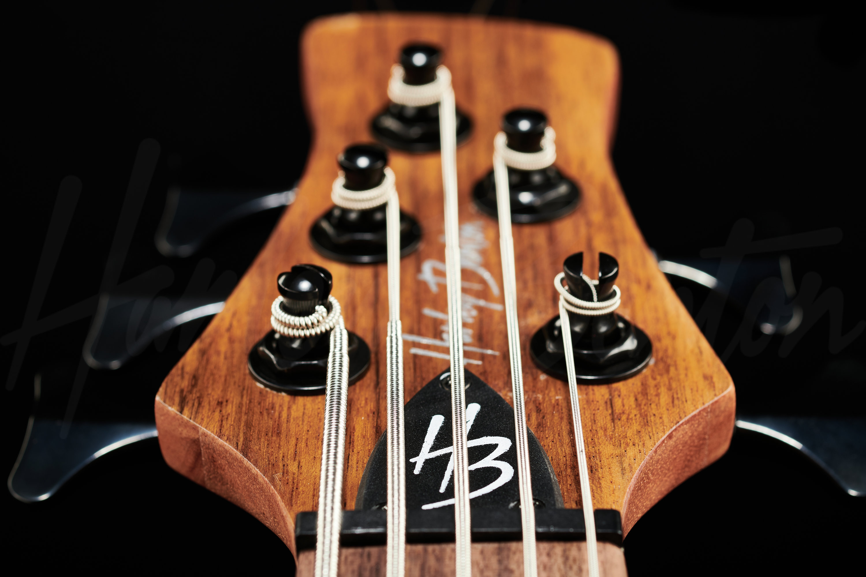 Harley benton 5 string fretless deals bass