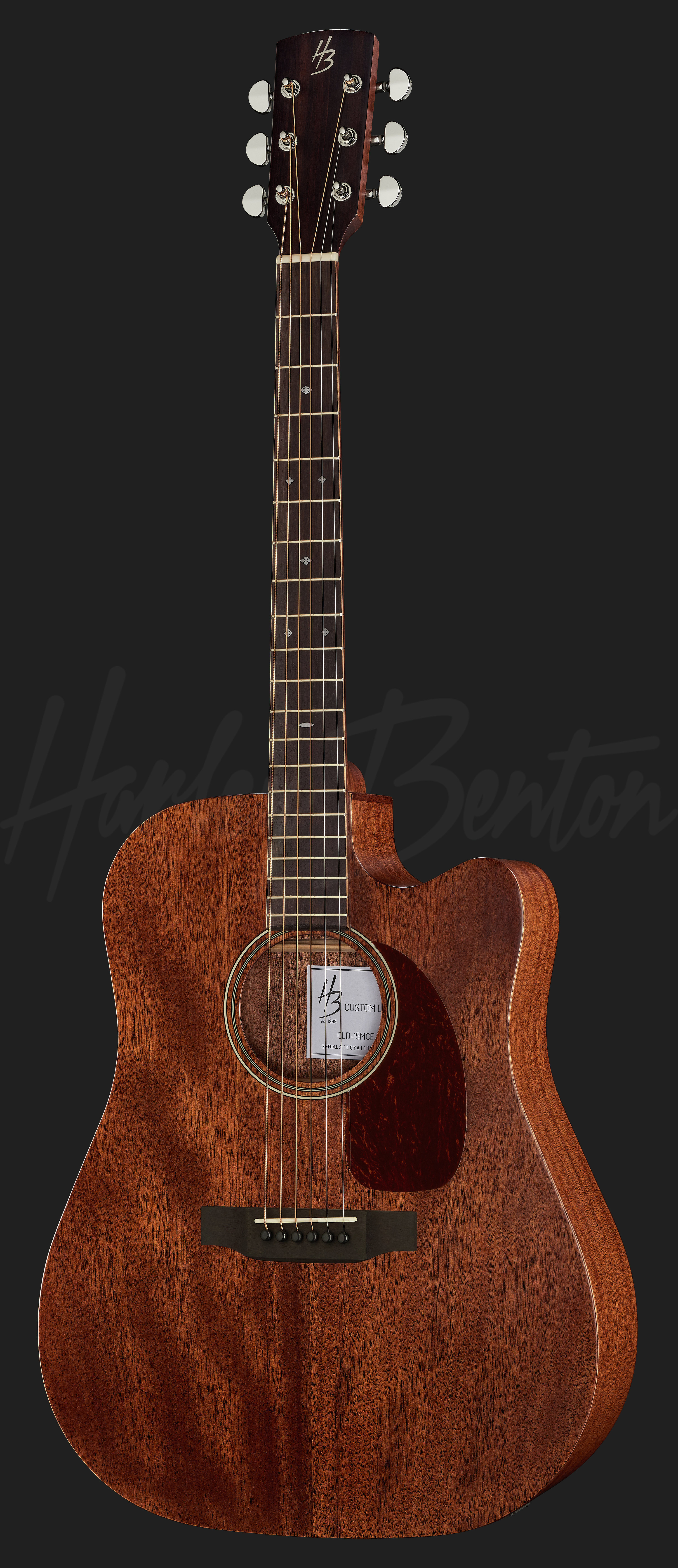 Harley benton cld 15mce sales