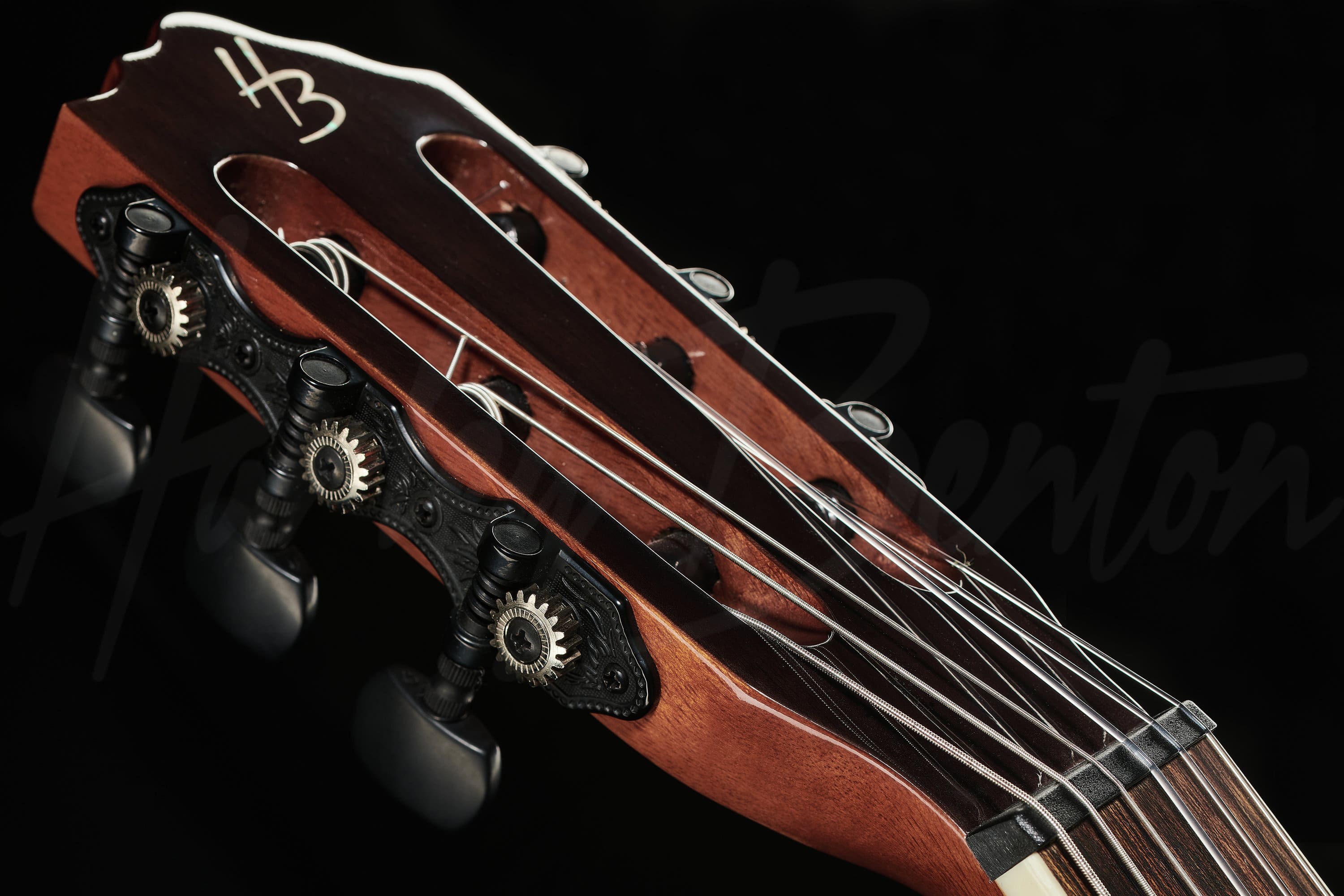 Santos Series C-40SCE NT