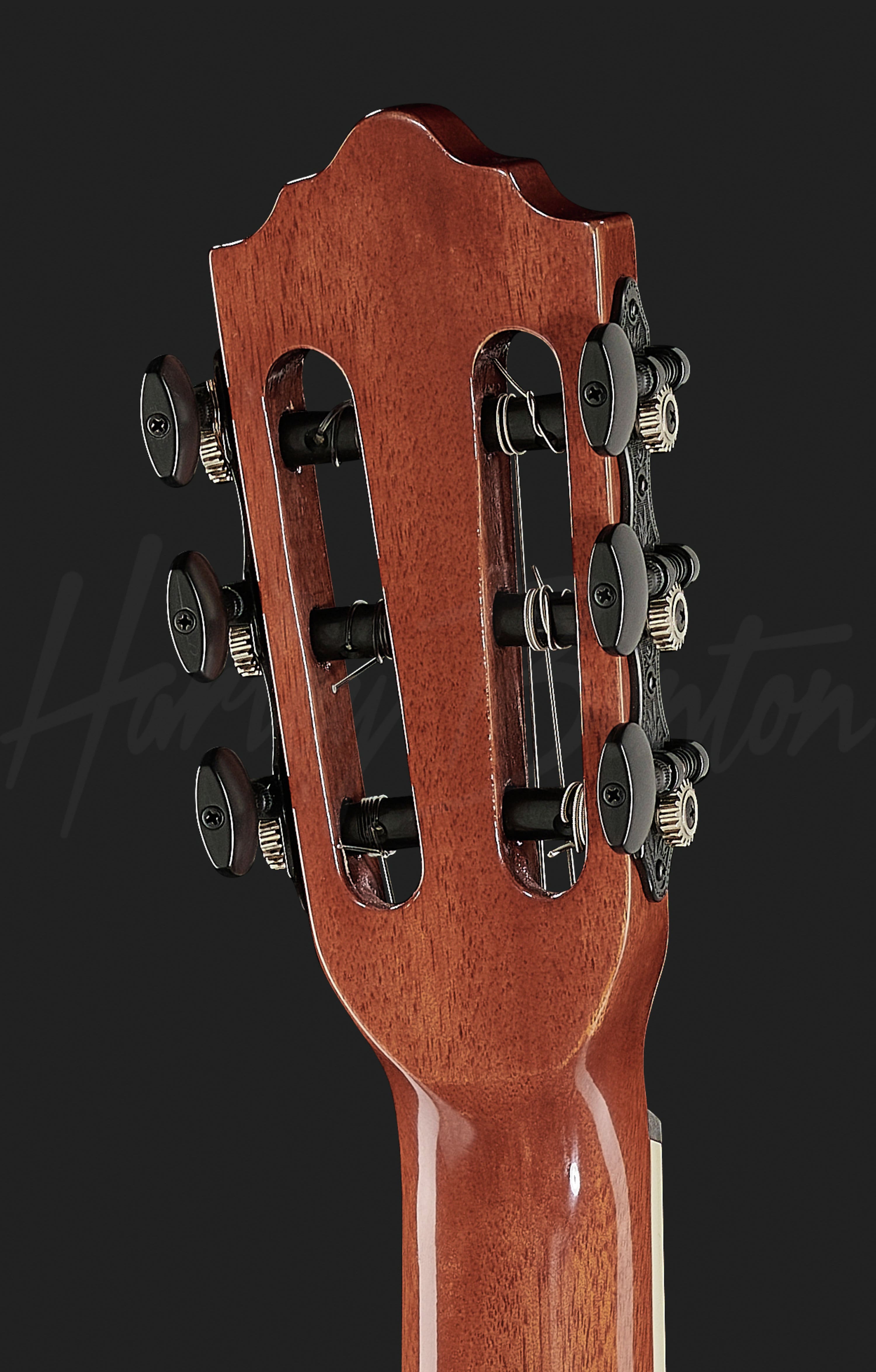 Santos Series C-40SCE NT
