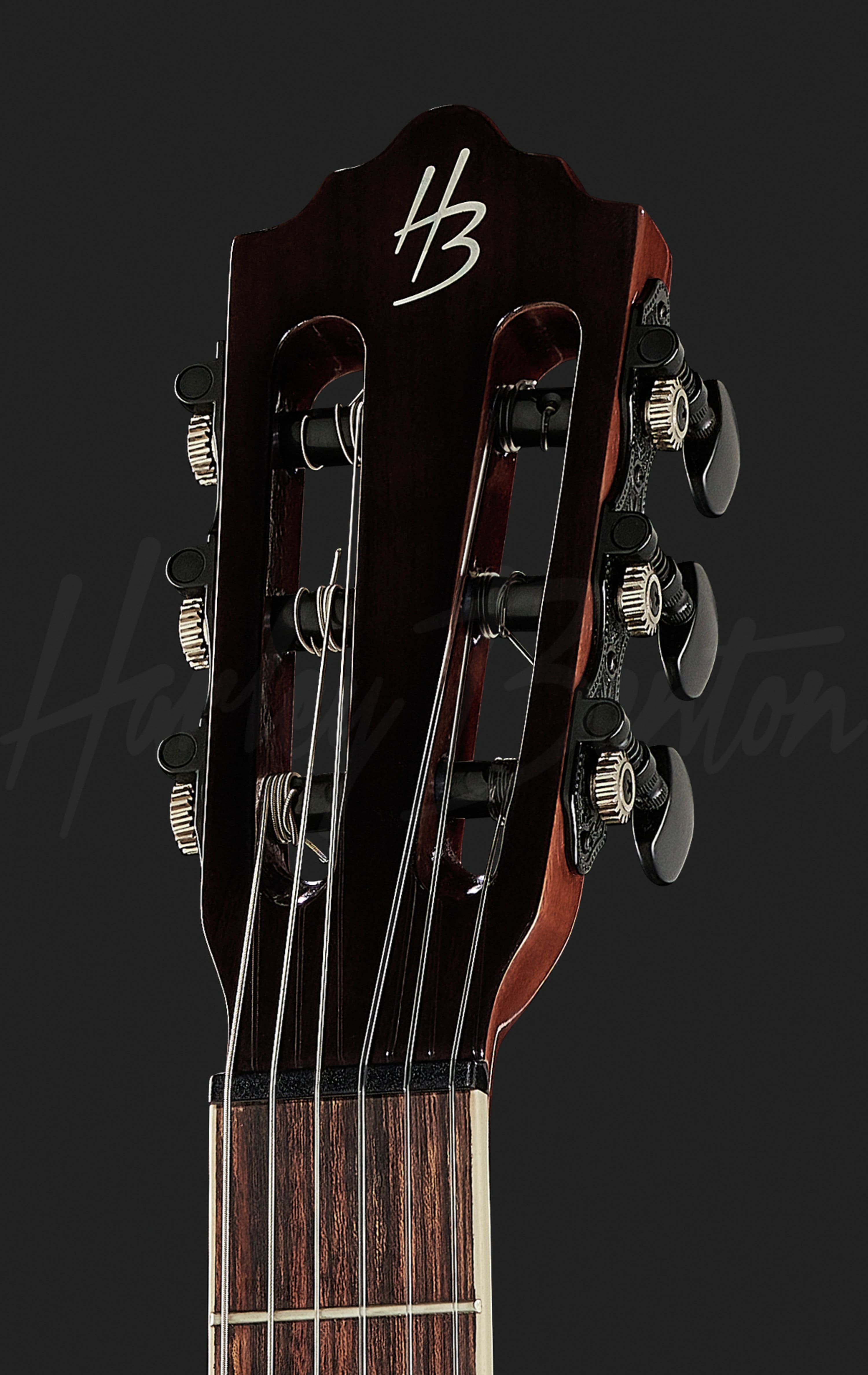 Santos Series C-40SCE NT