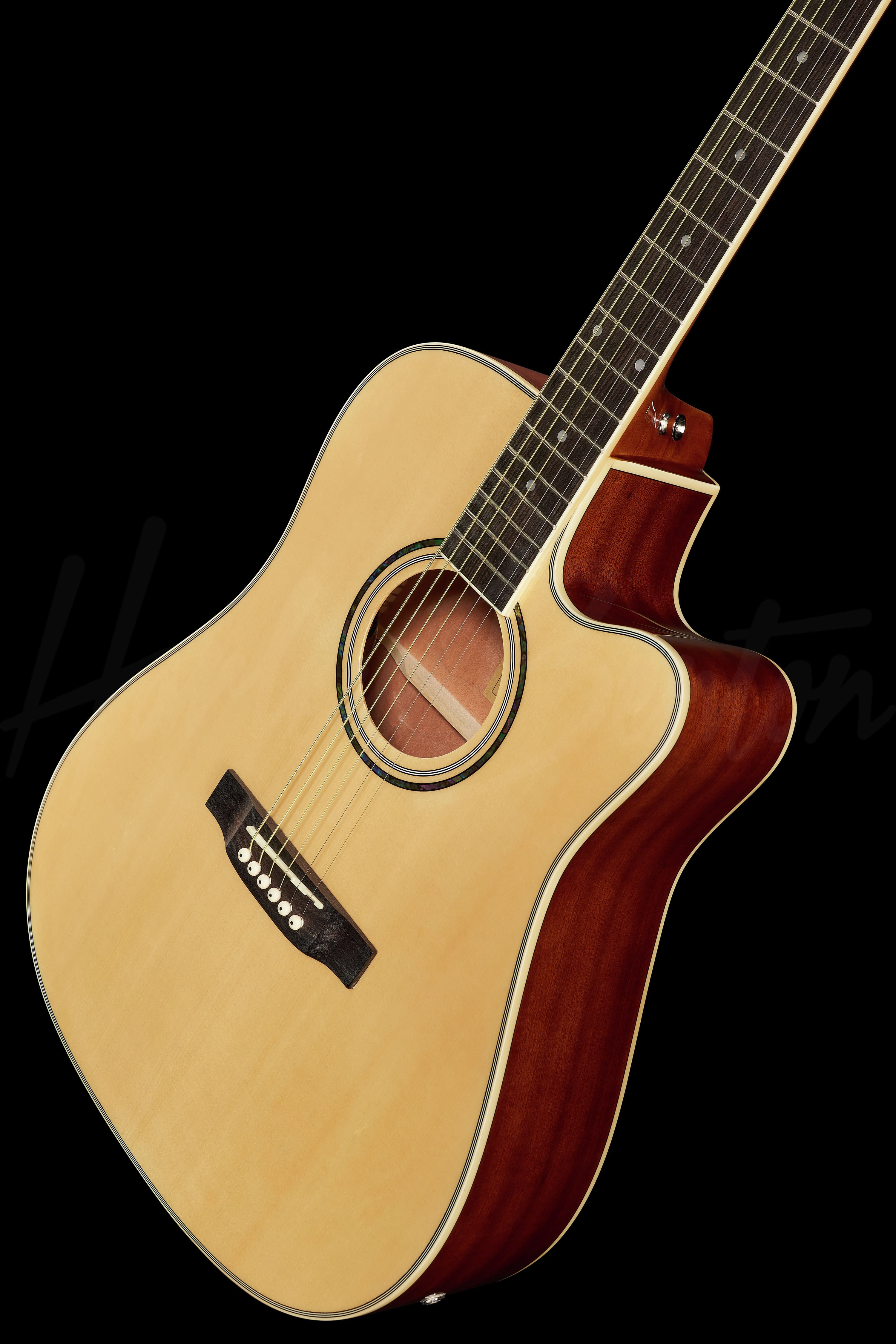 D-120CE NT