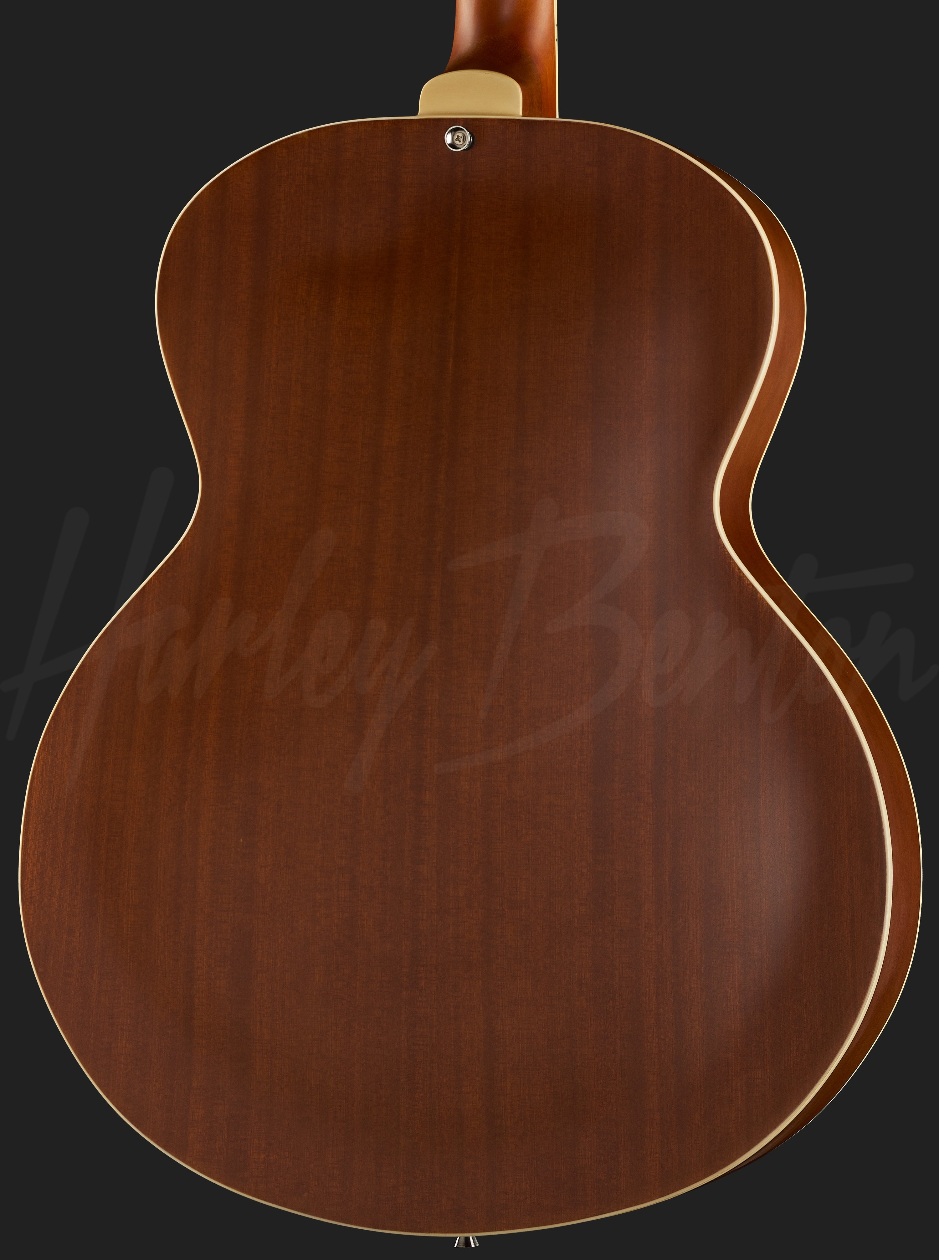 Harley benton deals archtop guitar