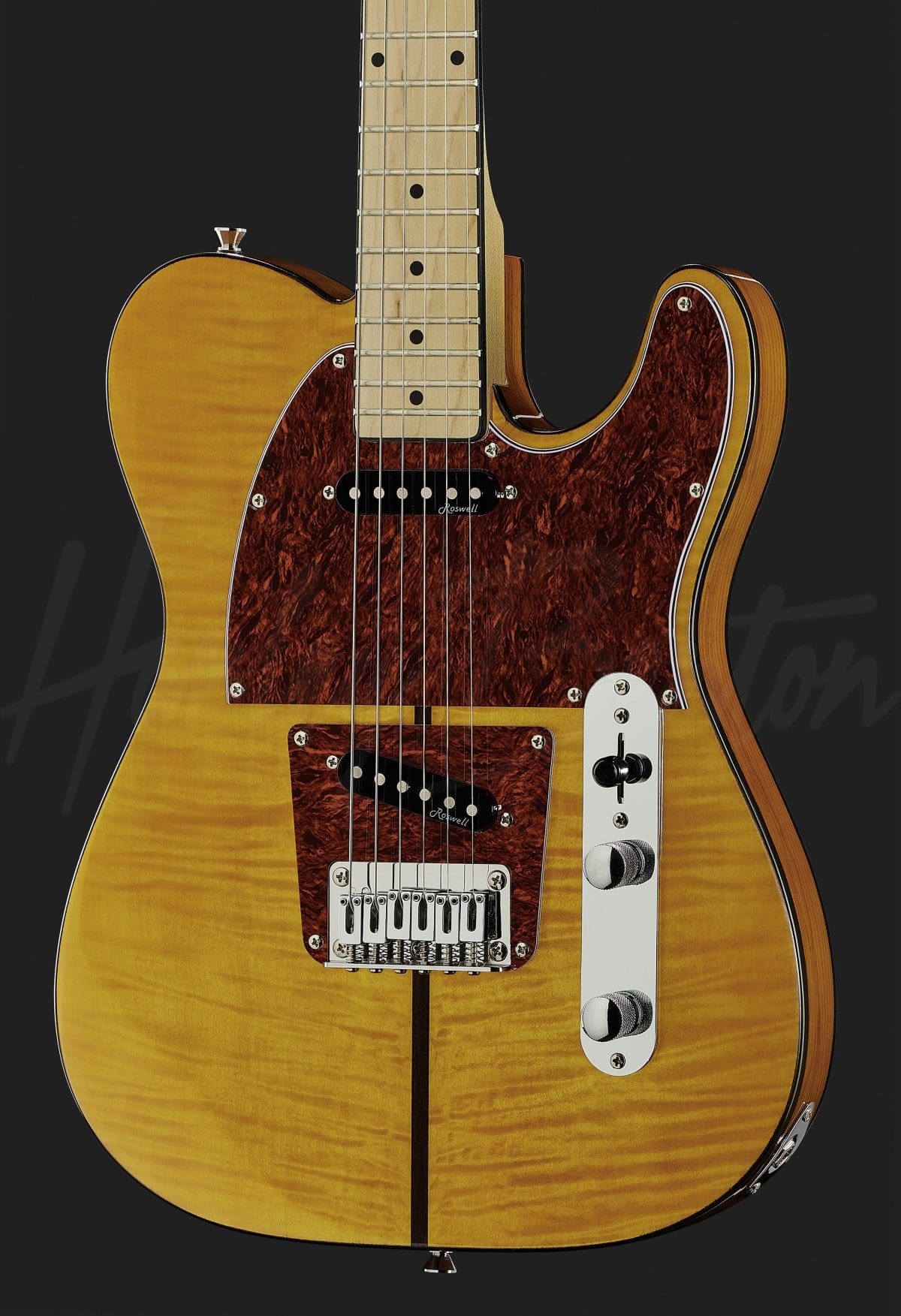 【動作◯】 Harley Benton Pro Series テレキャス 動作◯】 Harley Benton Pro Series テレキャス