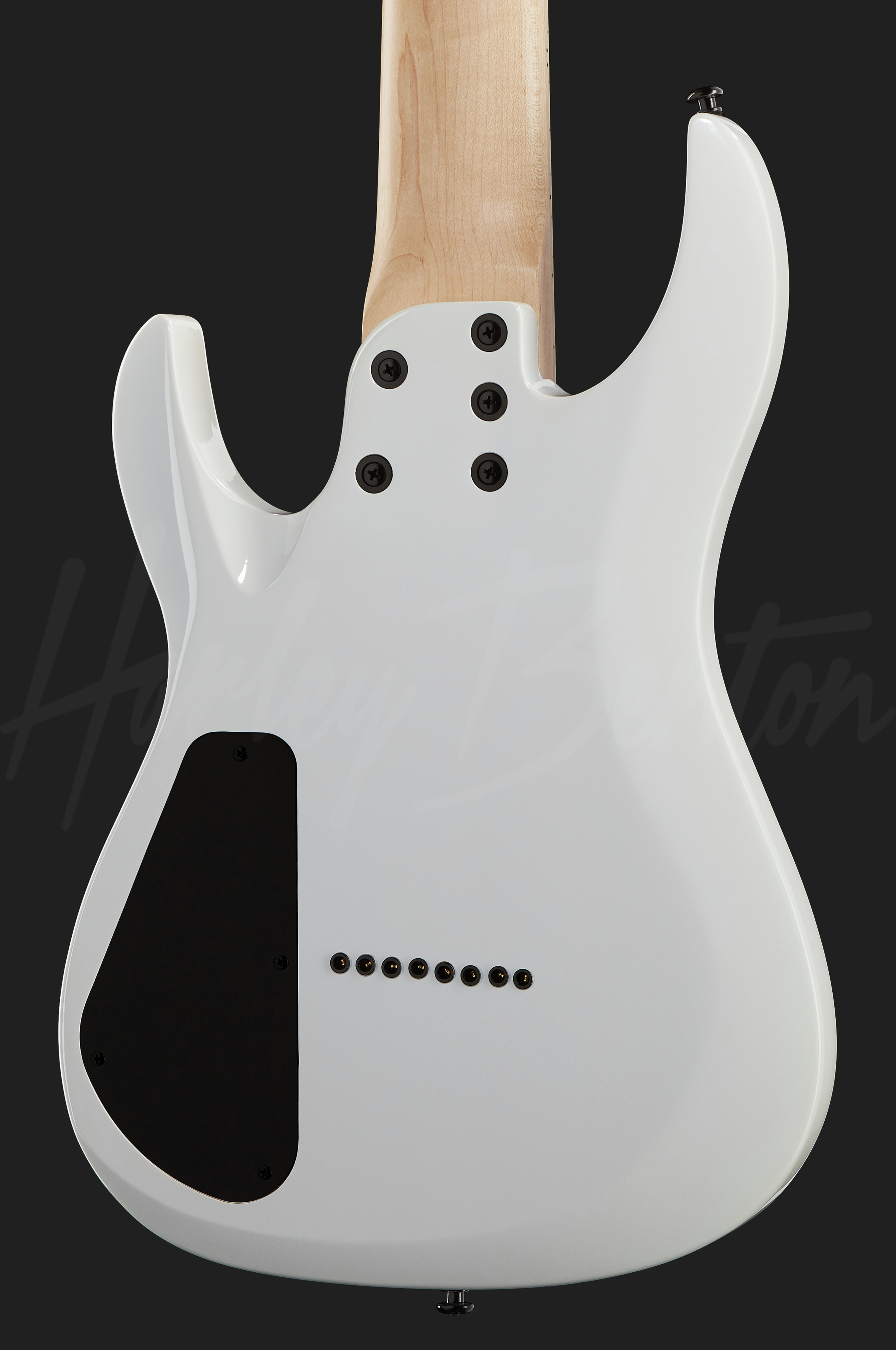 R-458MN WH