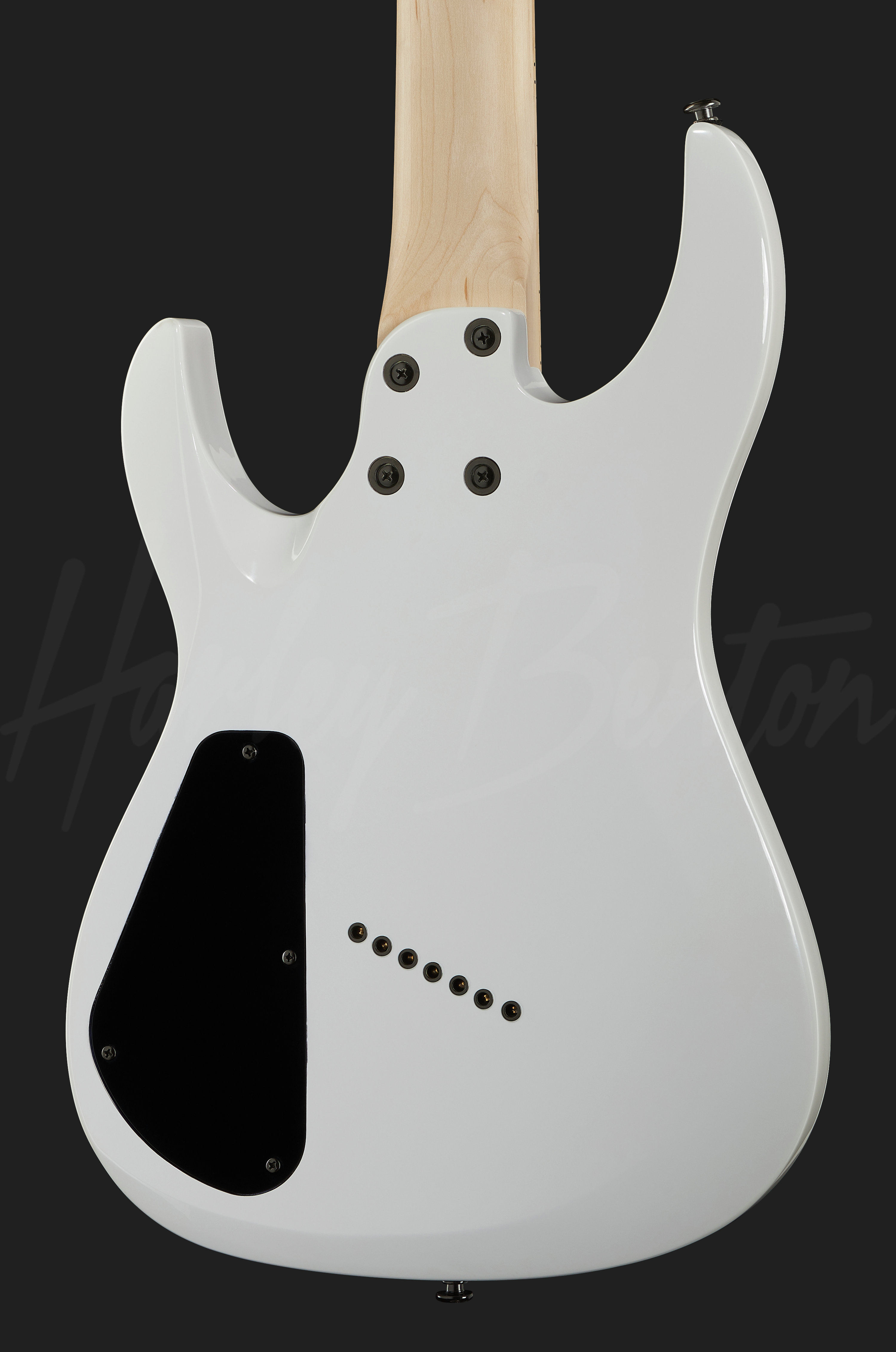 R-457MN WH MultiScale