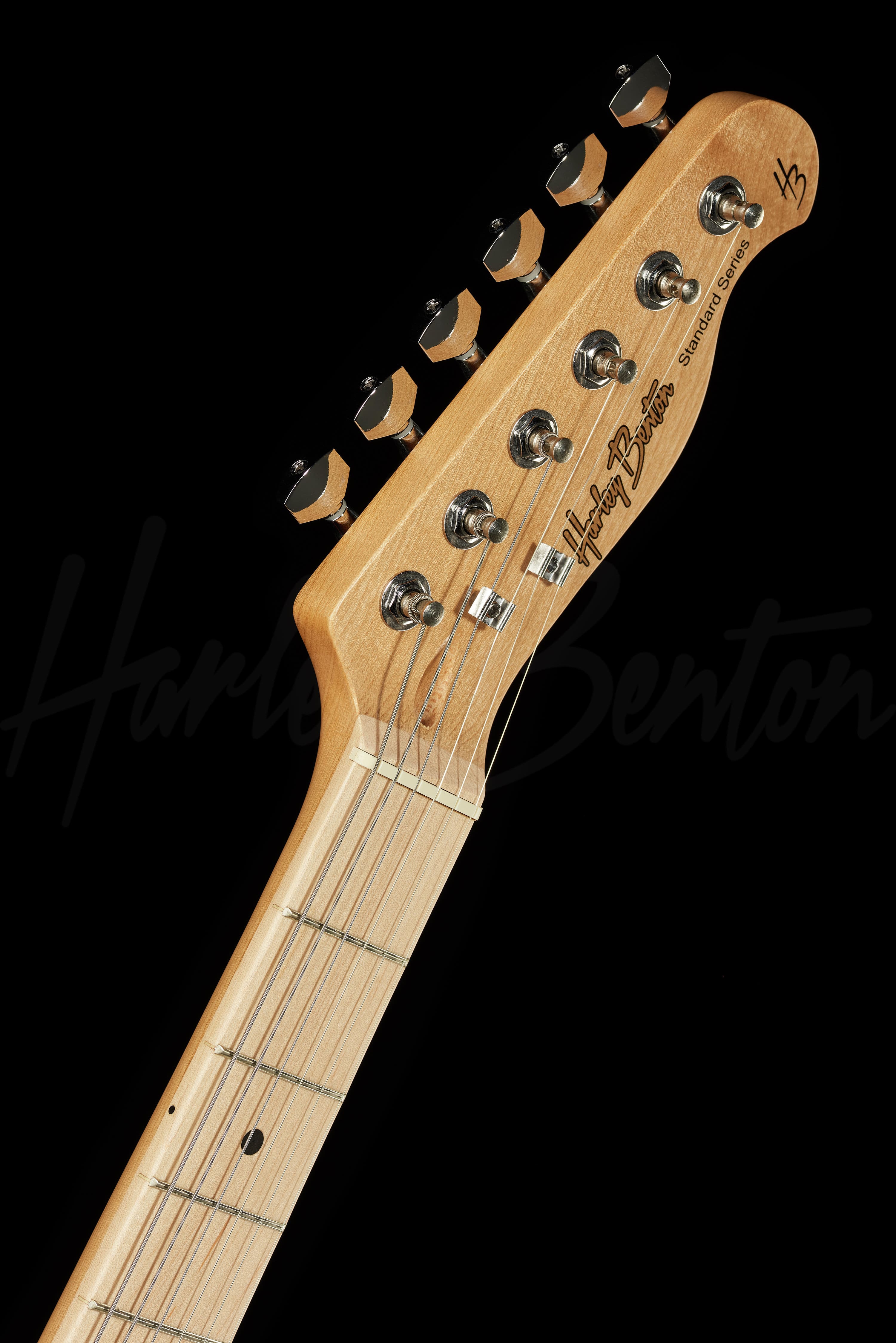 TE-20MN CA - Harley Benton