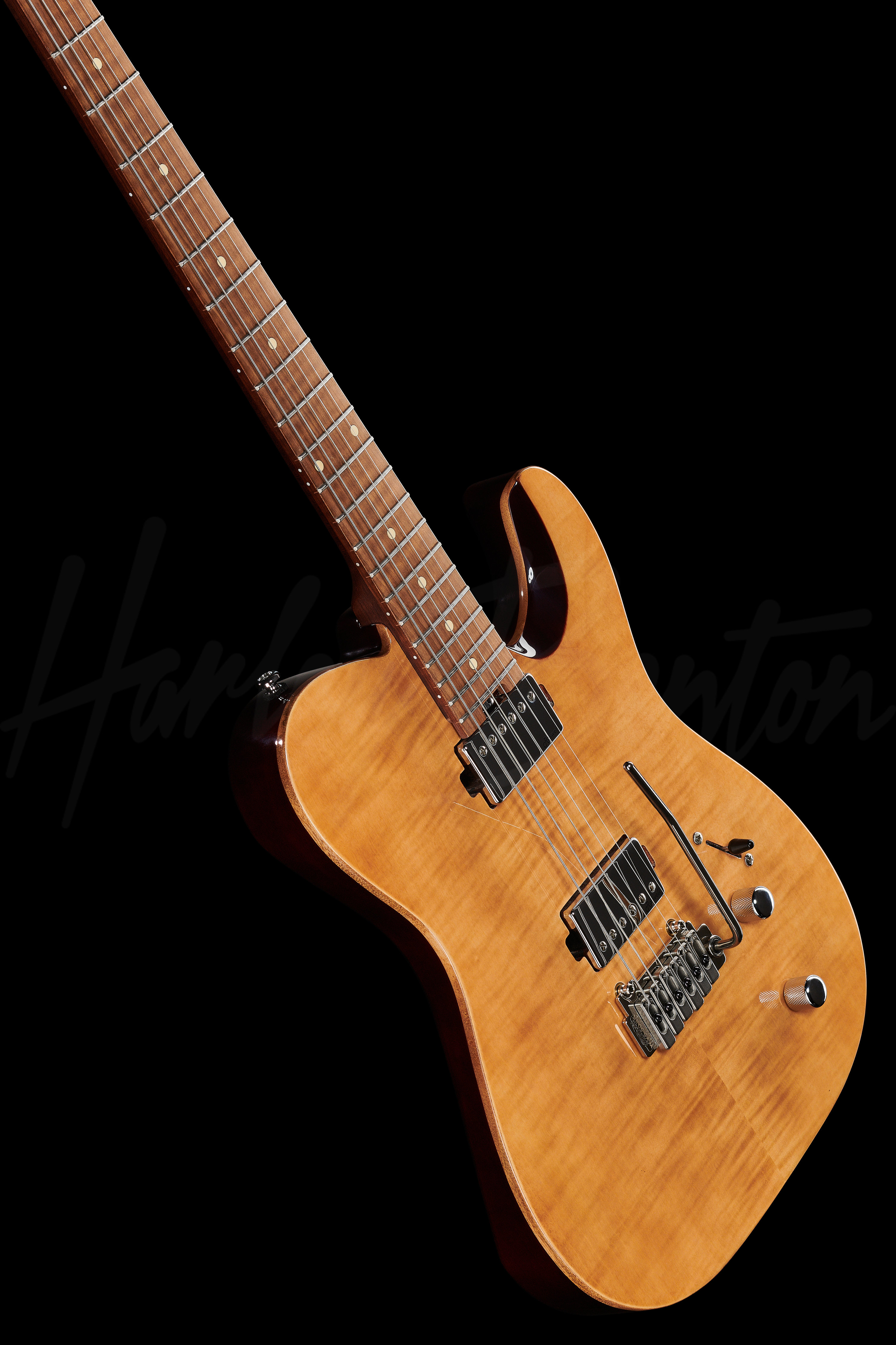 Fusion-T HH Roasted FNT