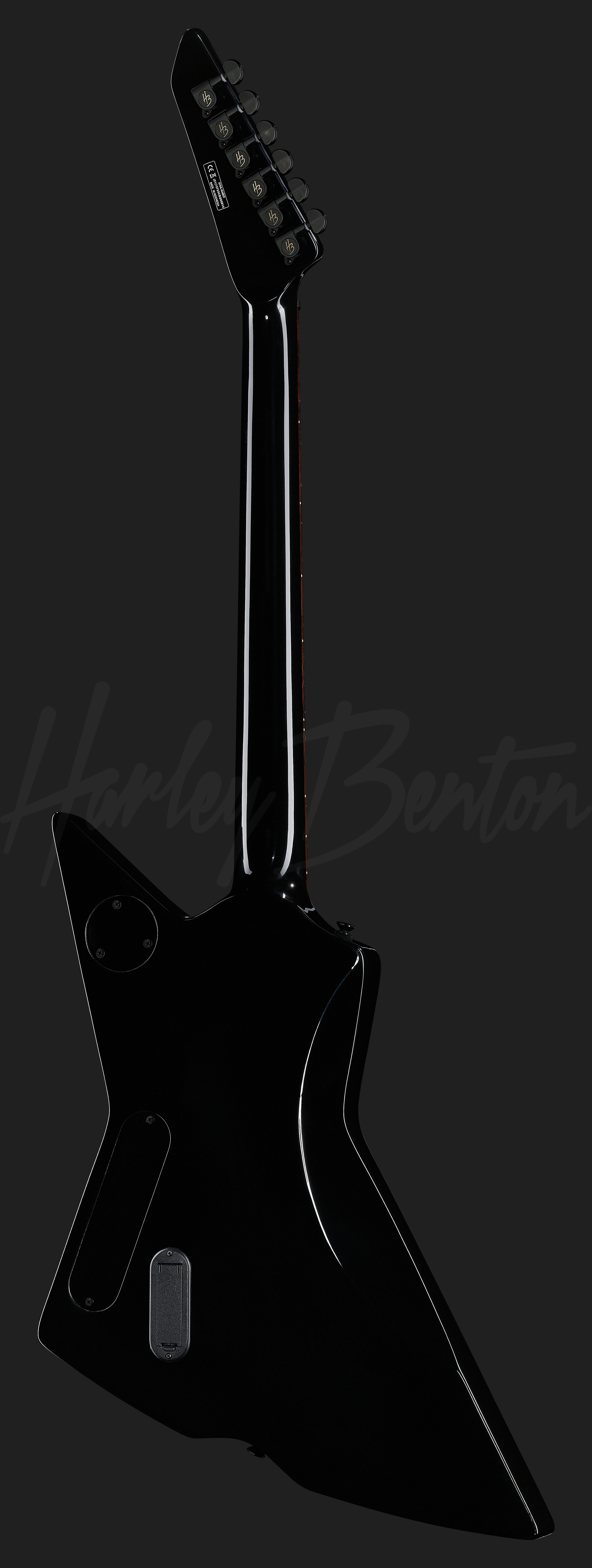 Harley Benton EX-84 Modern BK купить Гитары и Бас-гитары Harley Benton  доставка по России - АудиоБеру