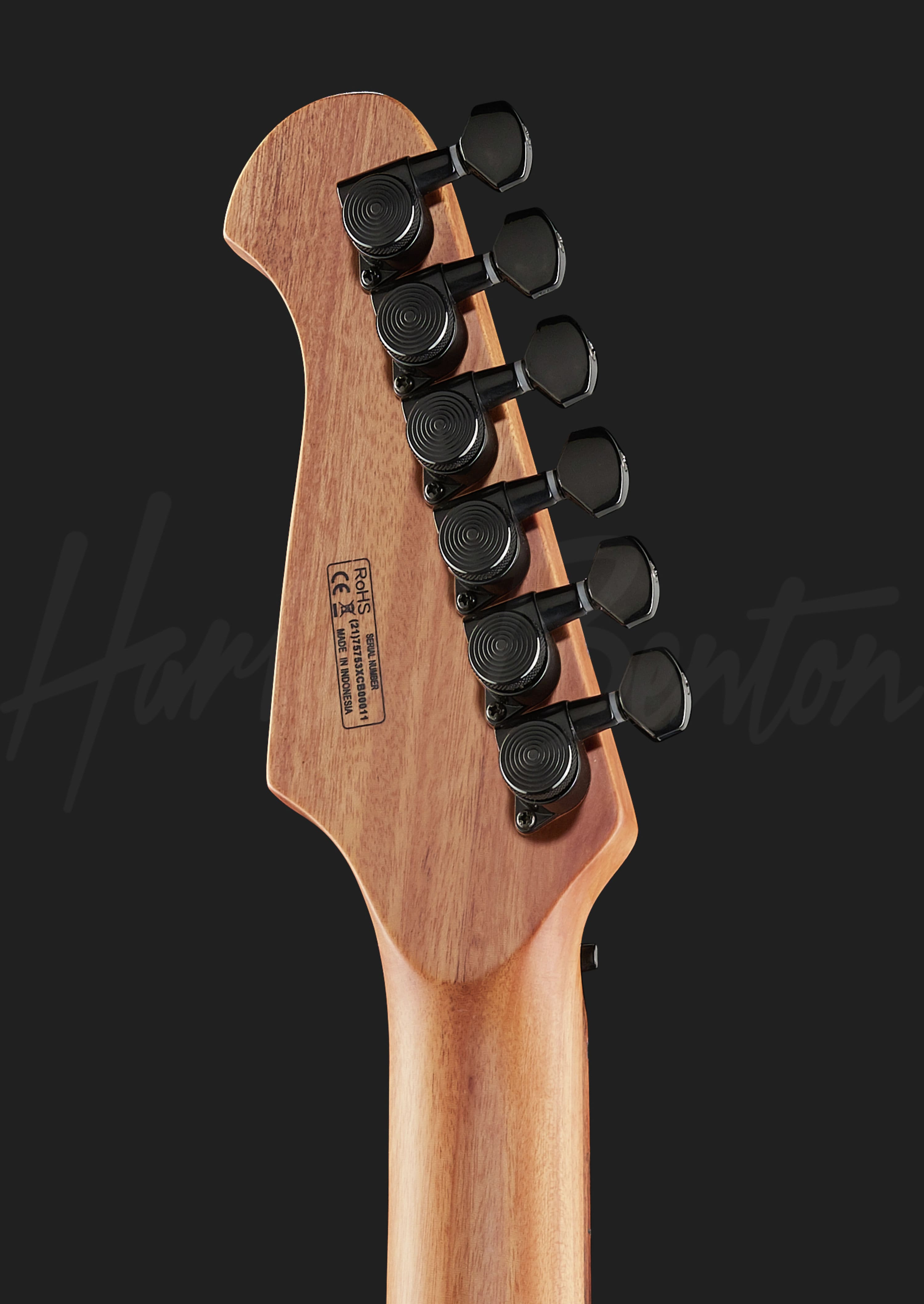 harrey benton hp42 ハーレーベントン ギター エレキギター harrey benton hp42 ハーレーベントン ギター エレキギター