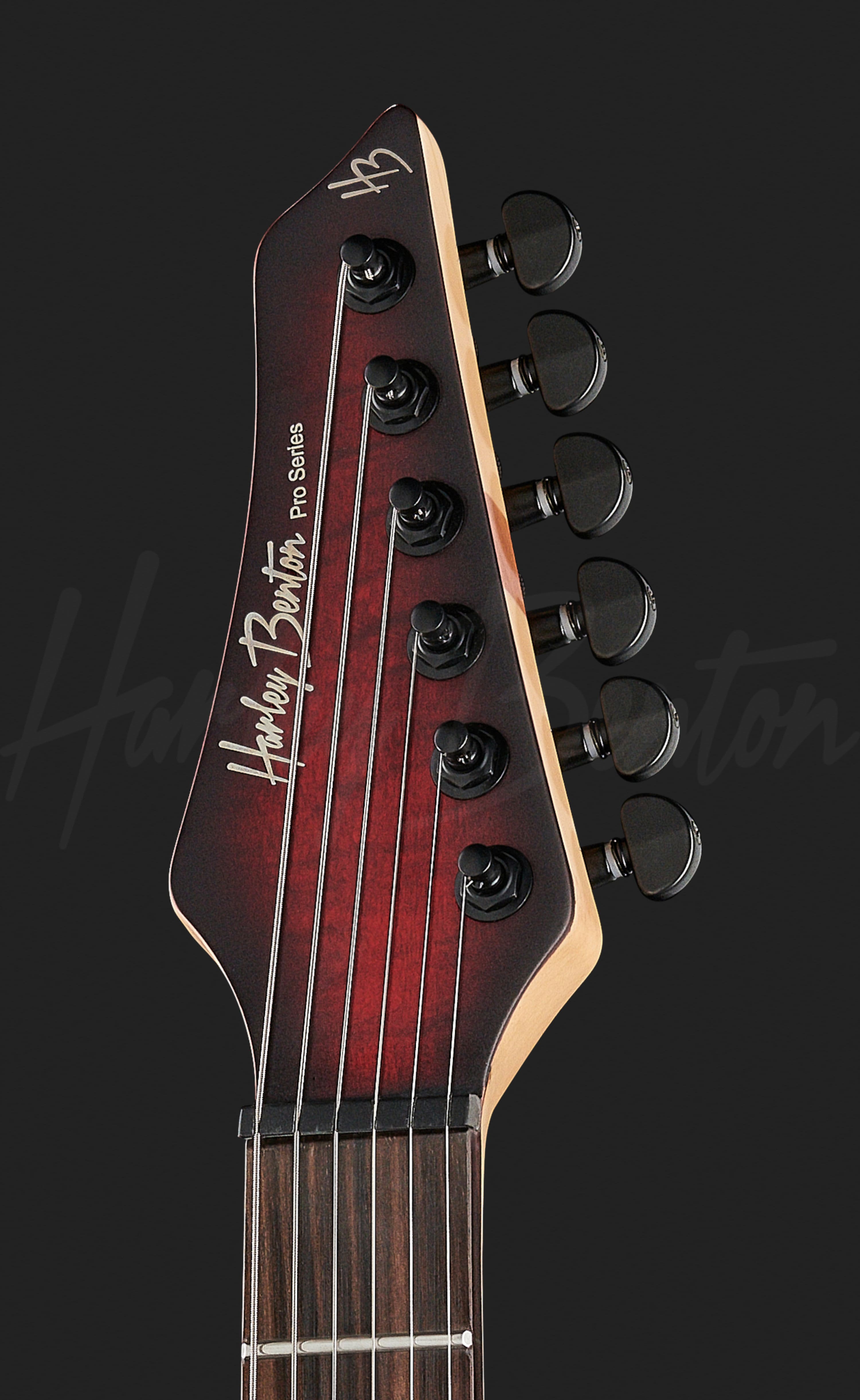 Harley Benton Roswell QH-6 ネック Harley Benton Roswell QH-6 ネック Harley Benton BS-20BK Rock