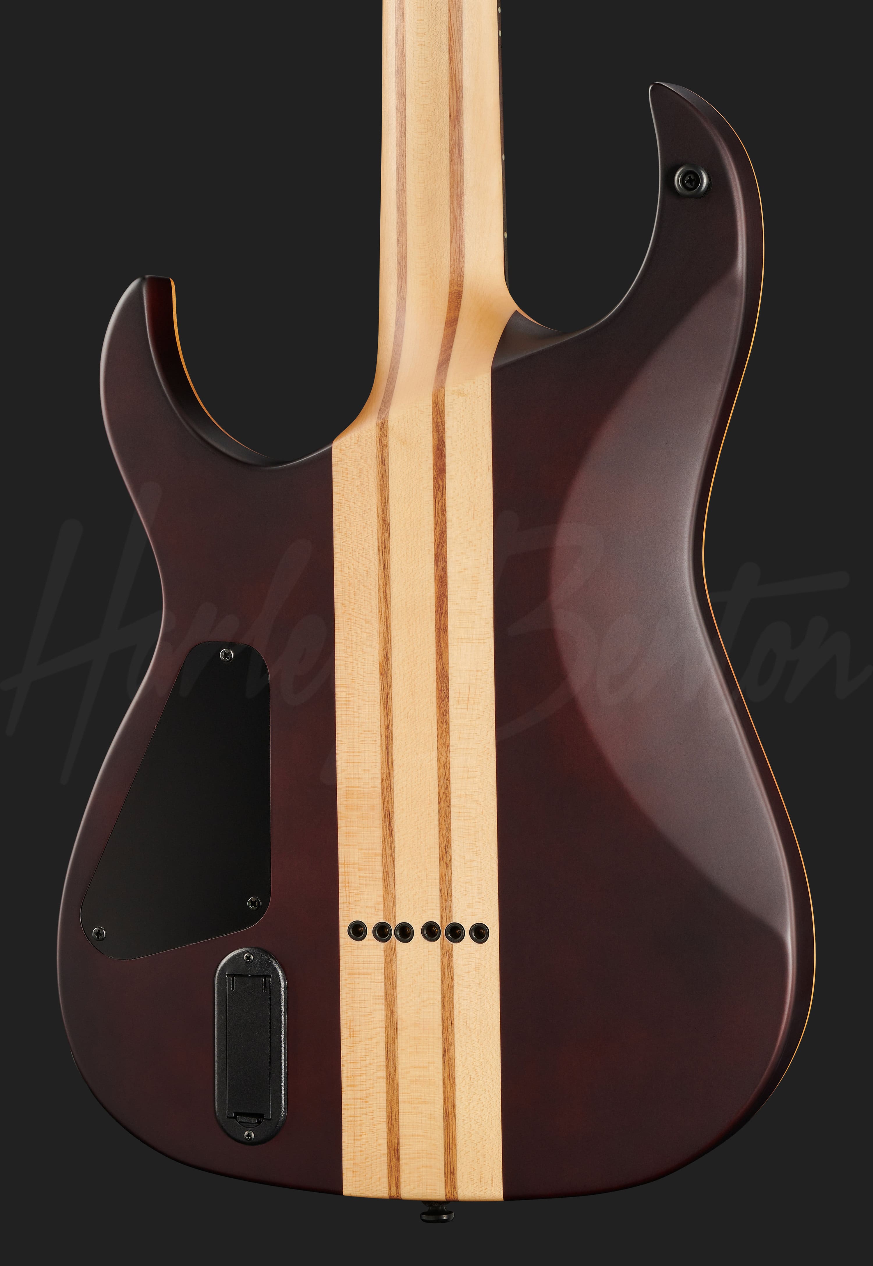 Harley Benton Roswell QH-6 ネック JA-60 SB - Harley Benton