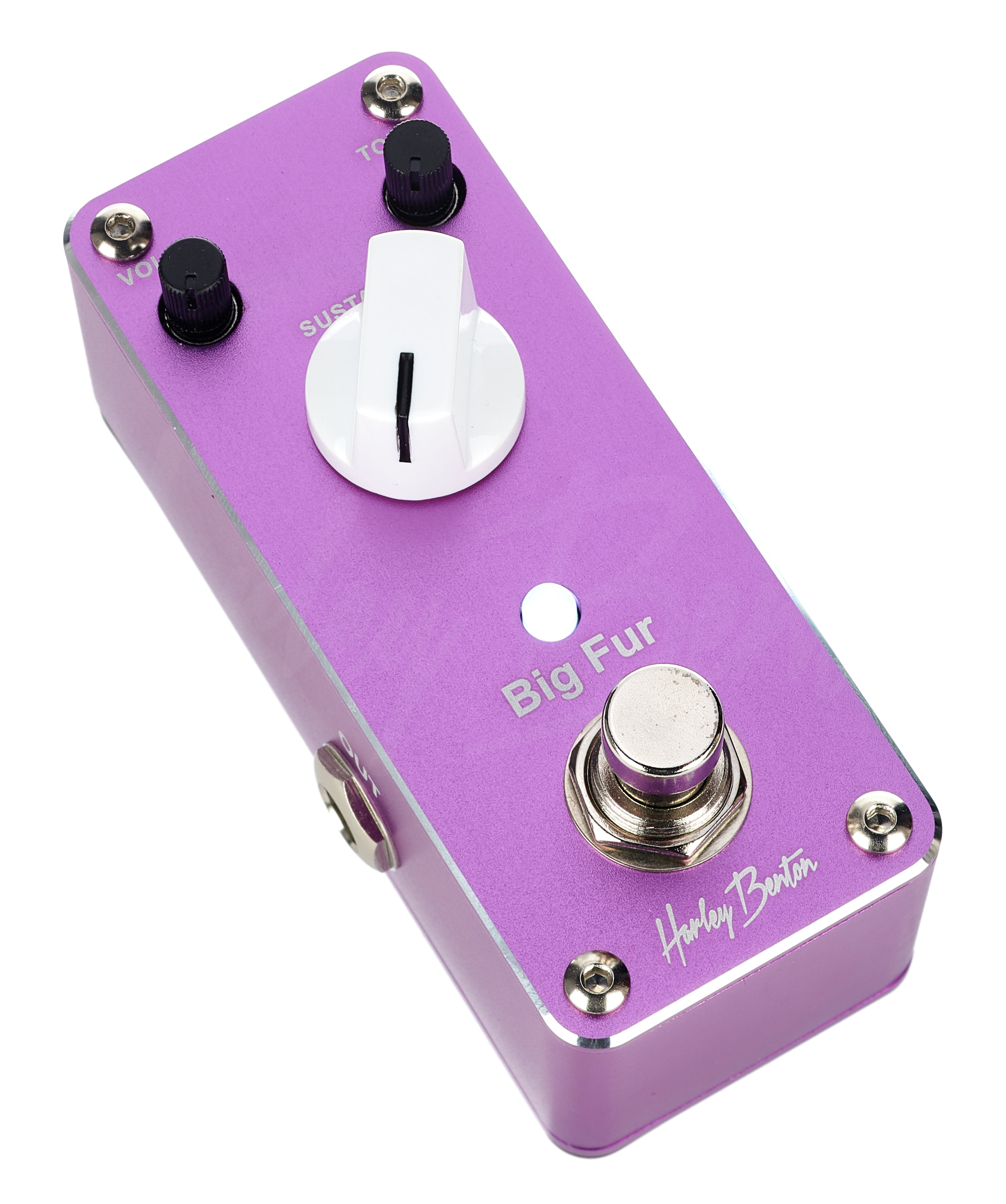 MiniStomp Big Fur