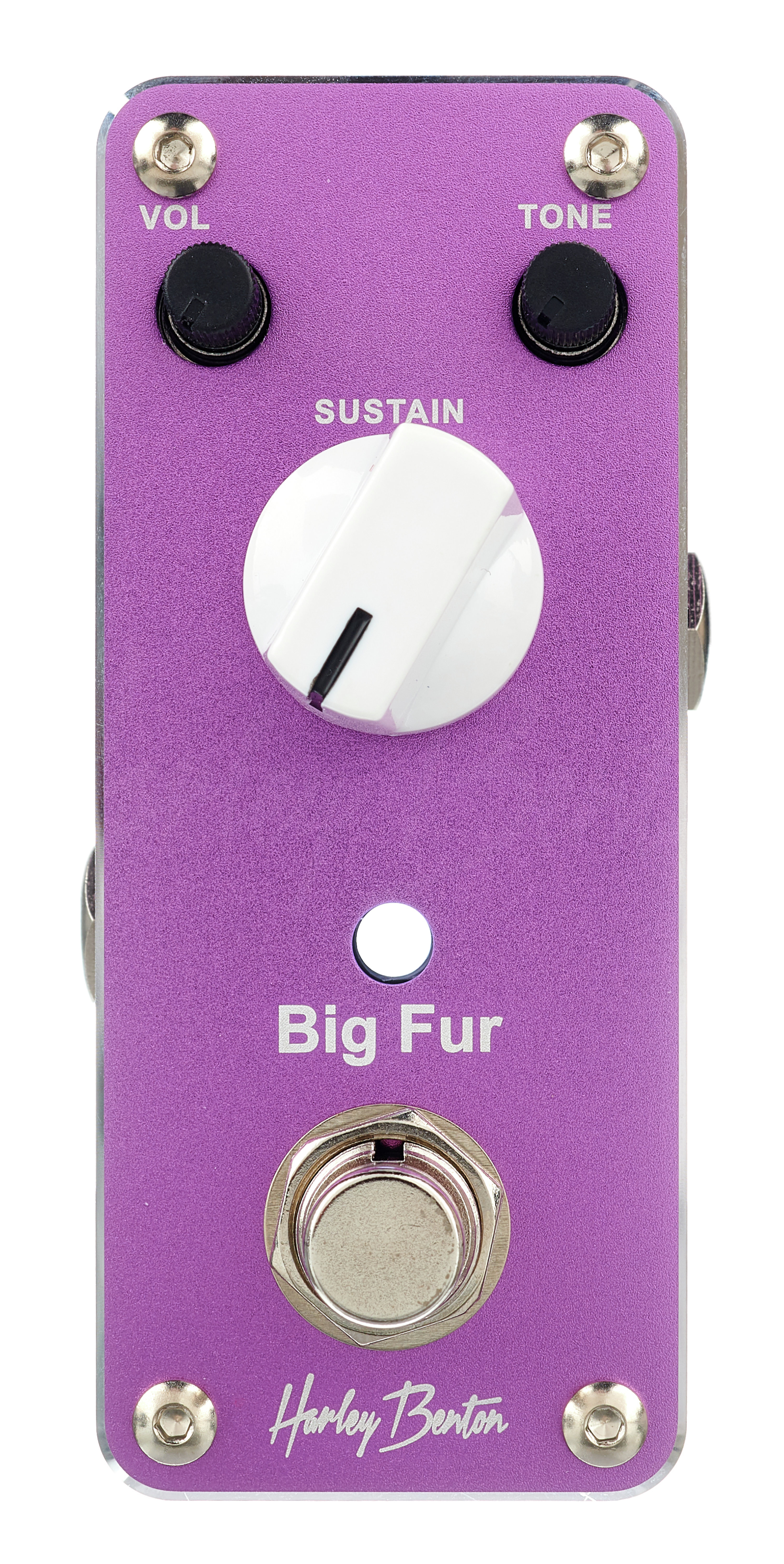 MiniStomp Big Fur