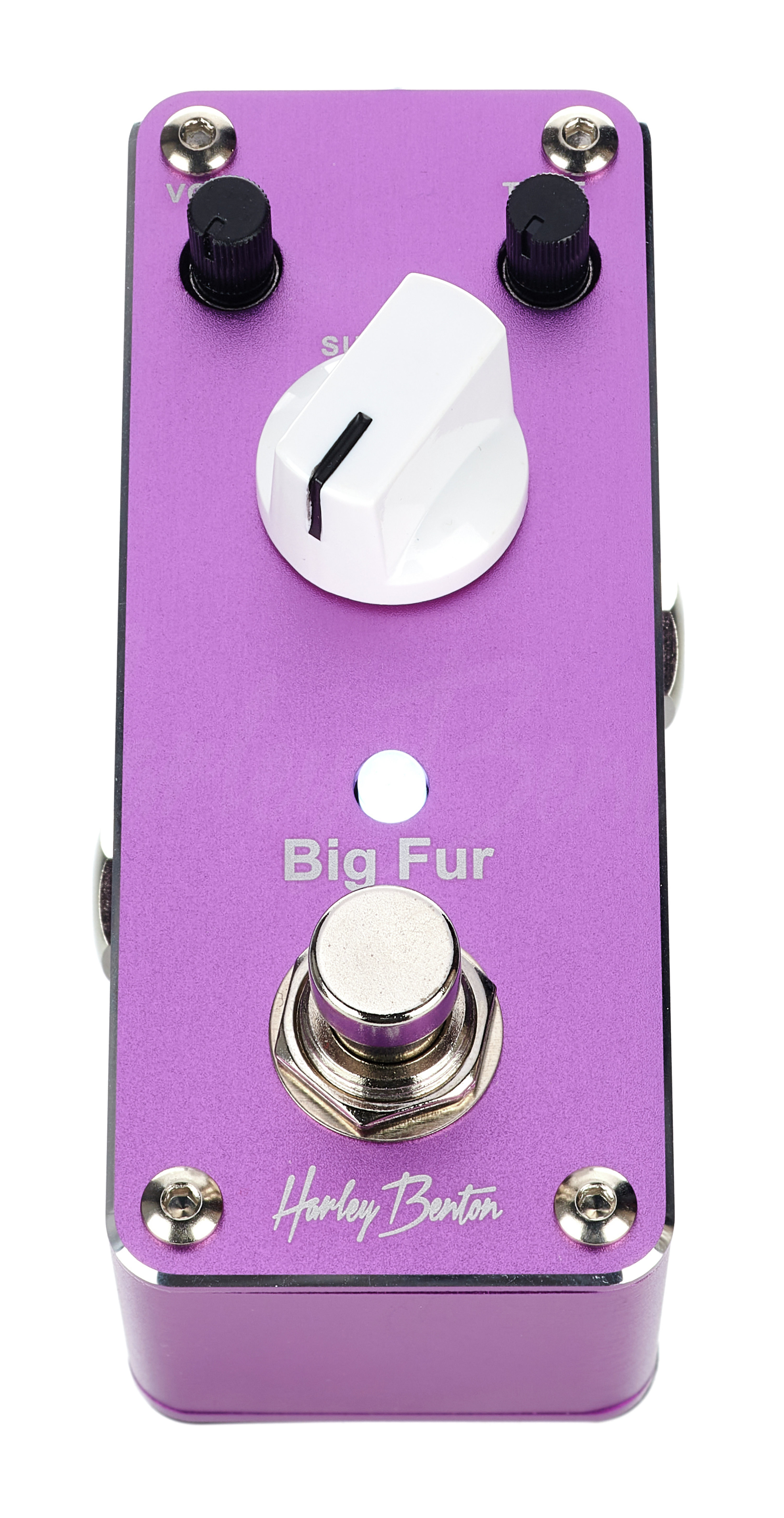 MiniStomp Big Fur