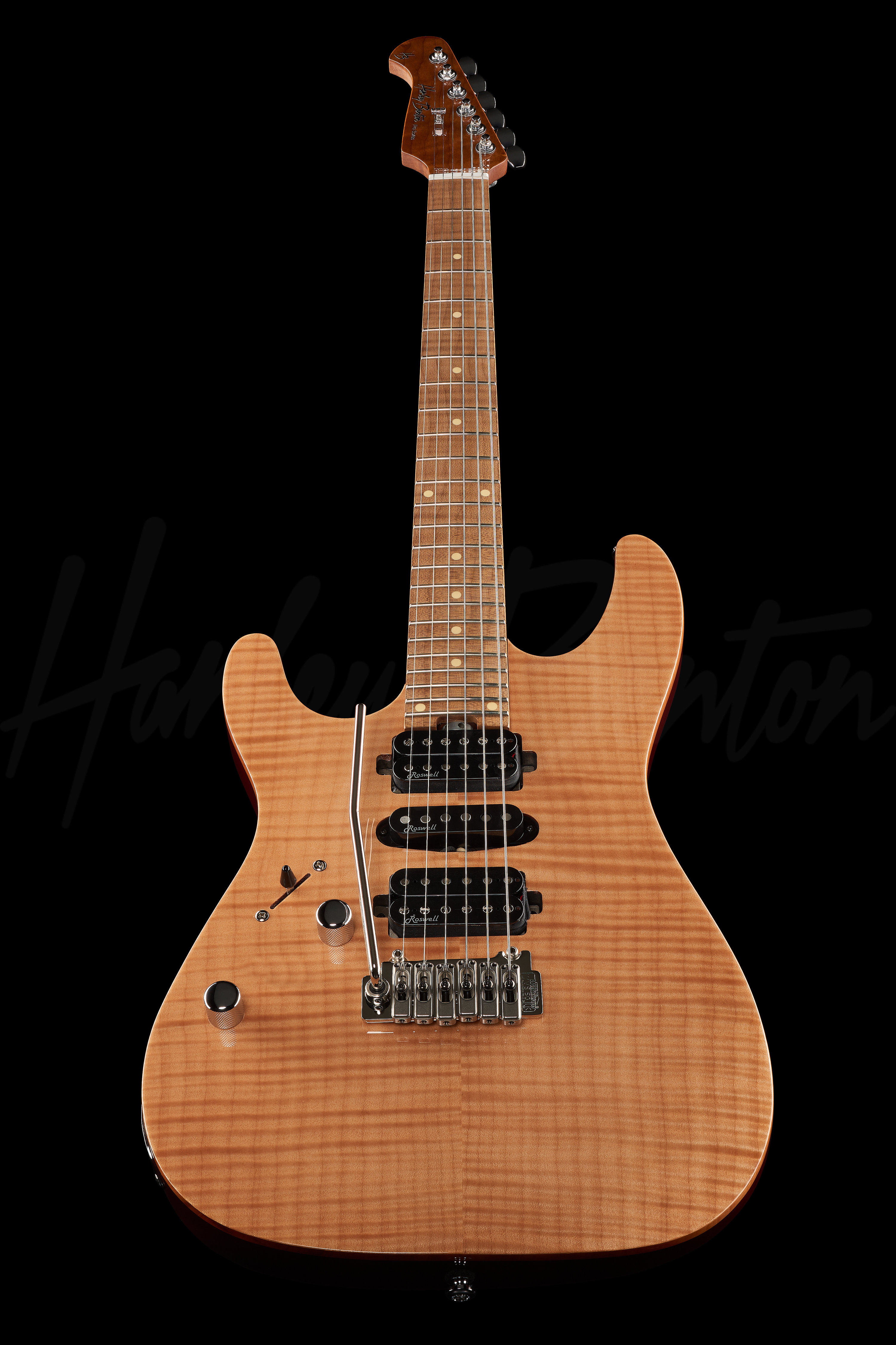 HarleyBenton fusion HSH - ギター