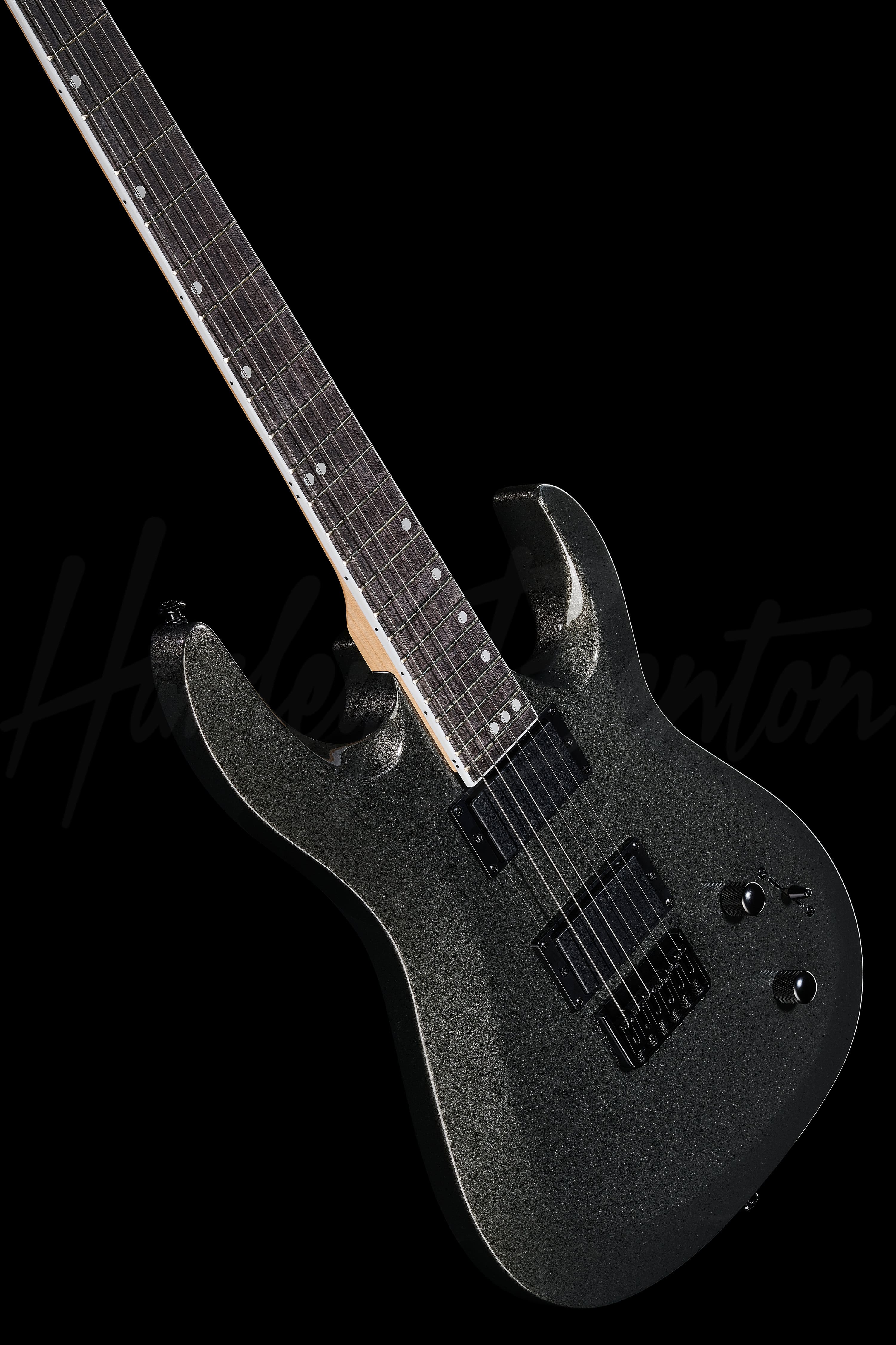 ヘレンド Harley Benton R-446 Graphite Metallic – United States