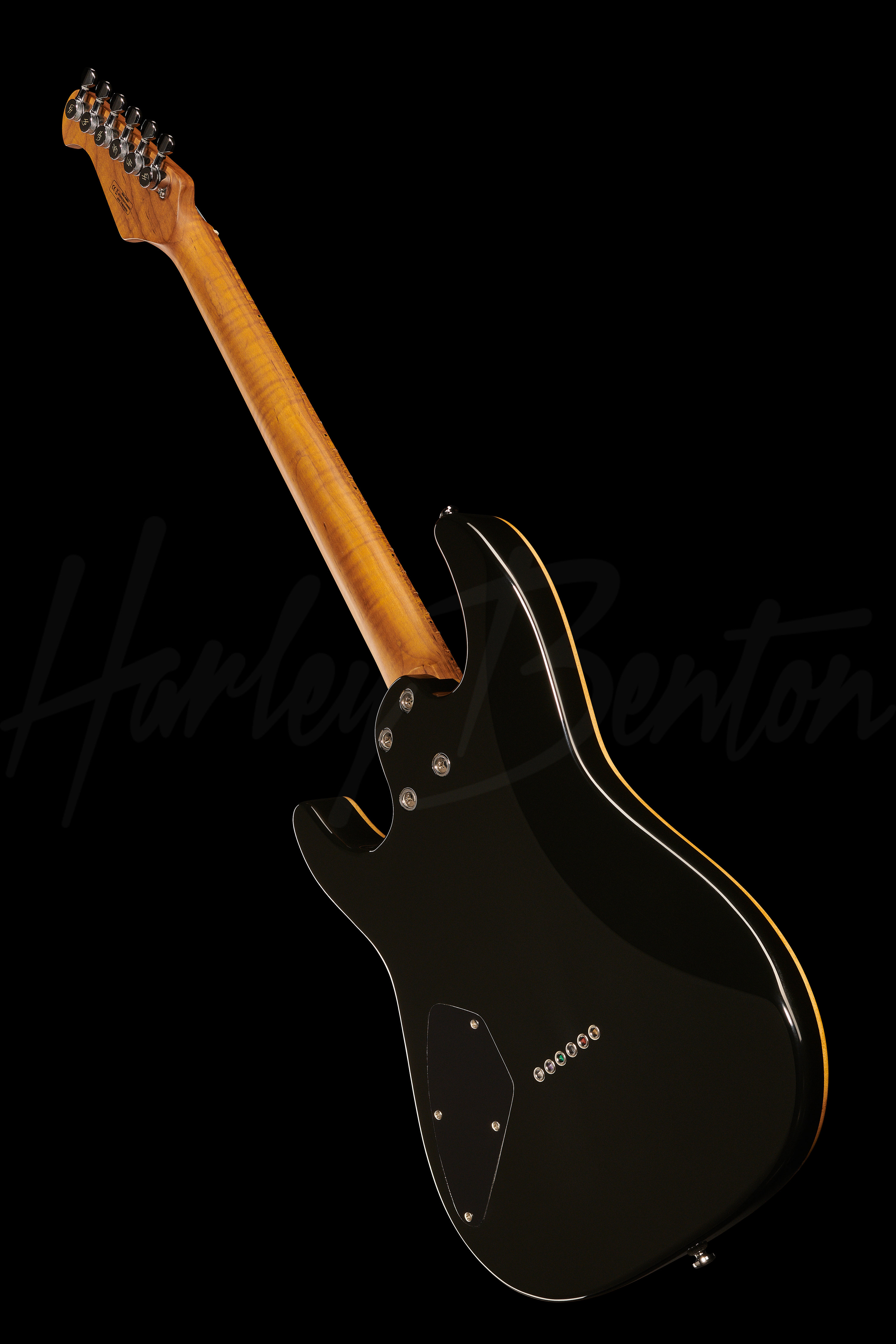 日本全国送料無料商品人気ランキング HH Fusion-III HT Benton Harley - FBB Roasted その他