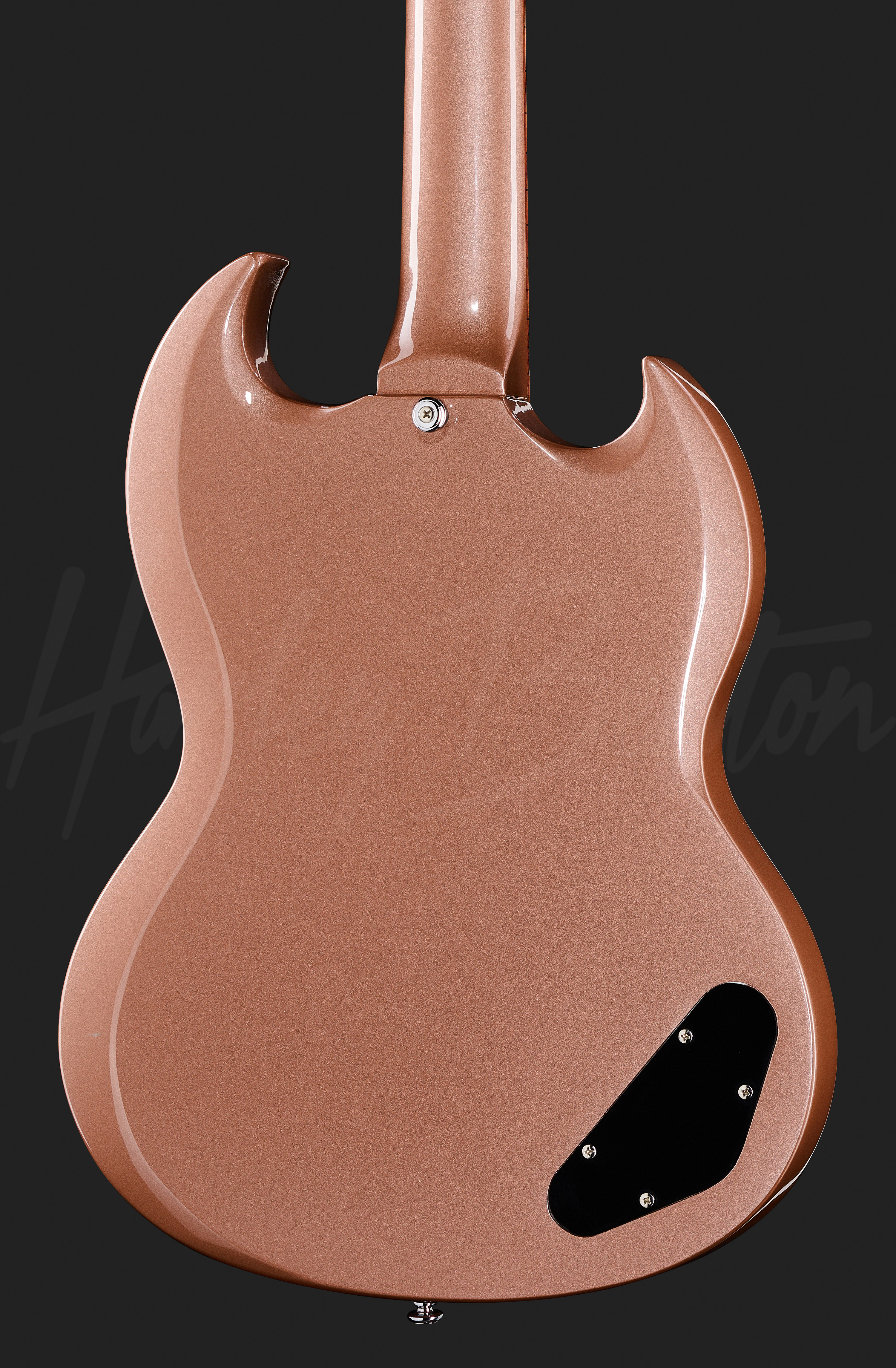 Harley Benton DC-Junior PB[ケース&おまけ付き！] Harley Benton DC-Junior PB[ケース&おまけ付き！] Harley Benton DC