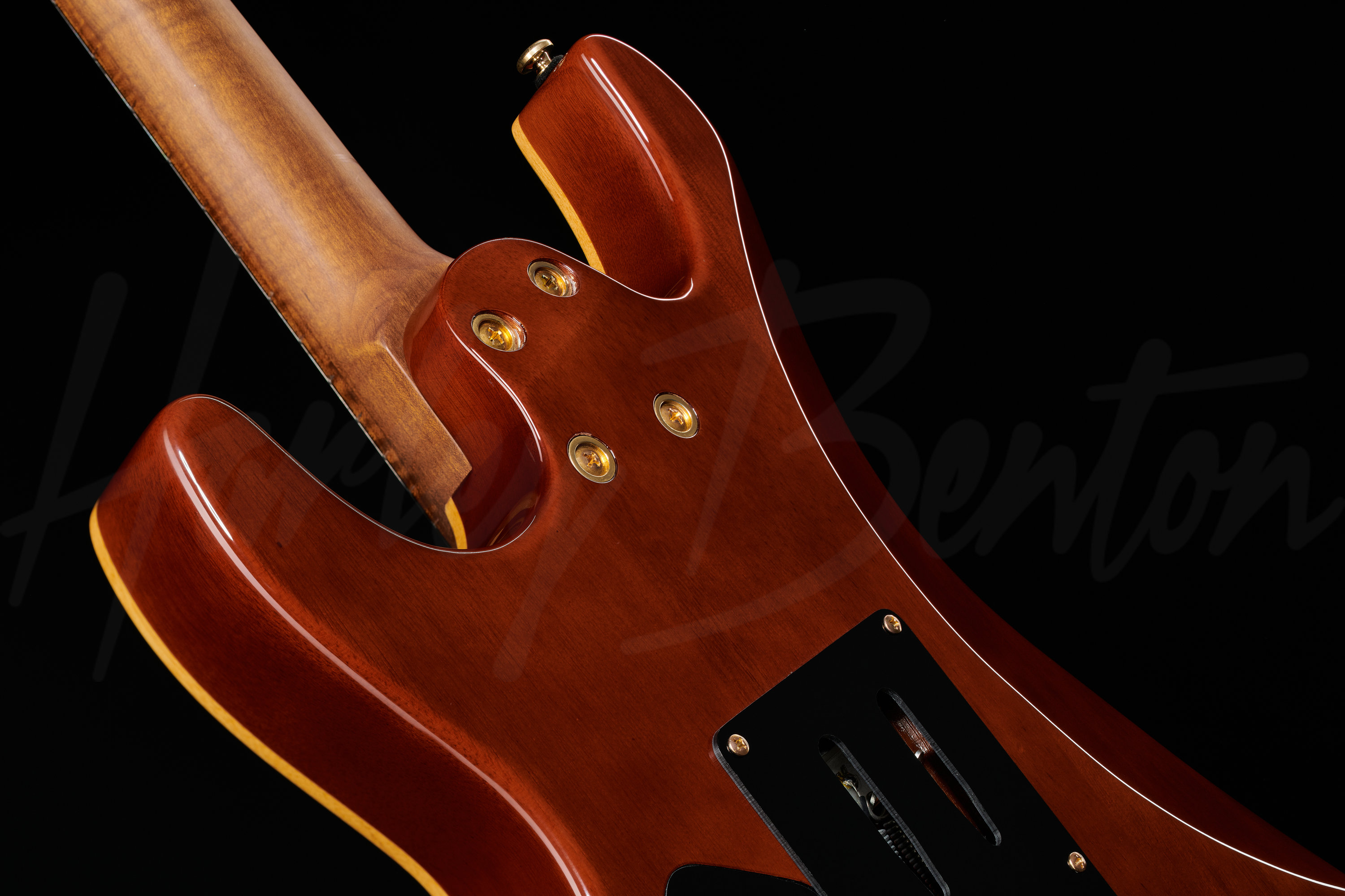 Guitar MAX Fusion Signature HO - Harley Benton