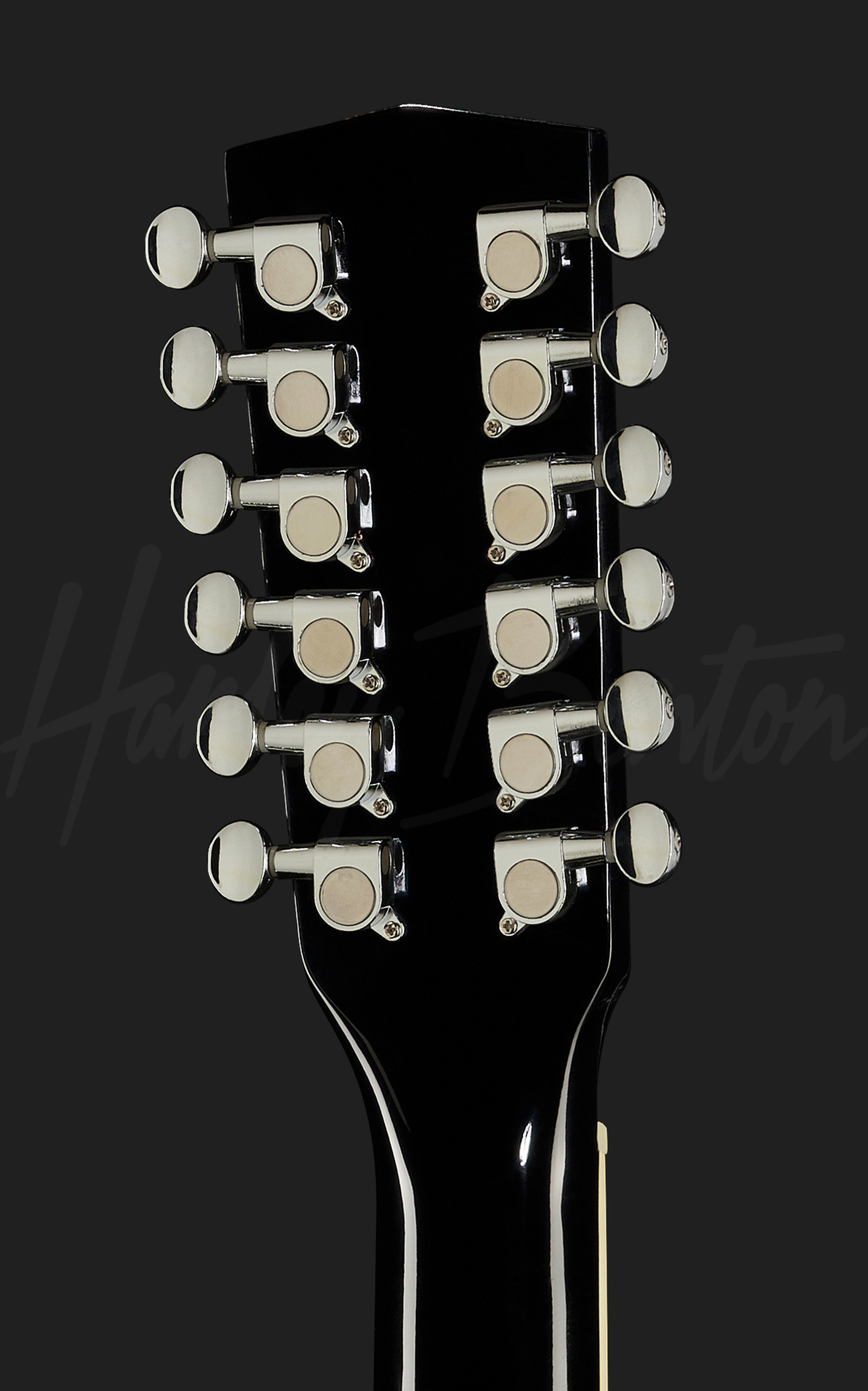 D-200CE-12 BK