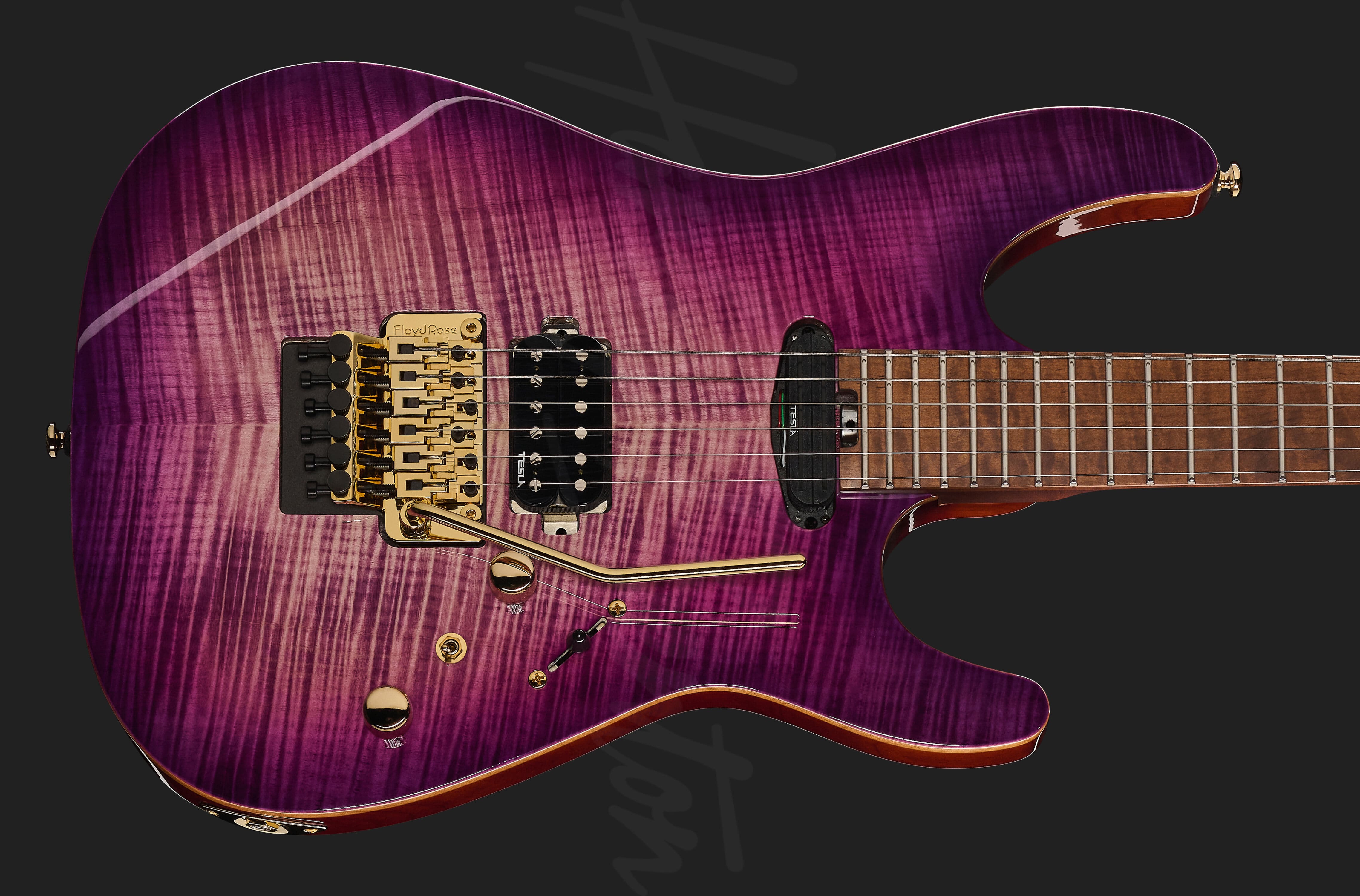 Guitar MAX Fusion Signature PF - Harley Benton