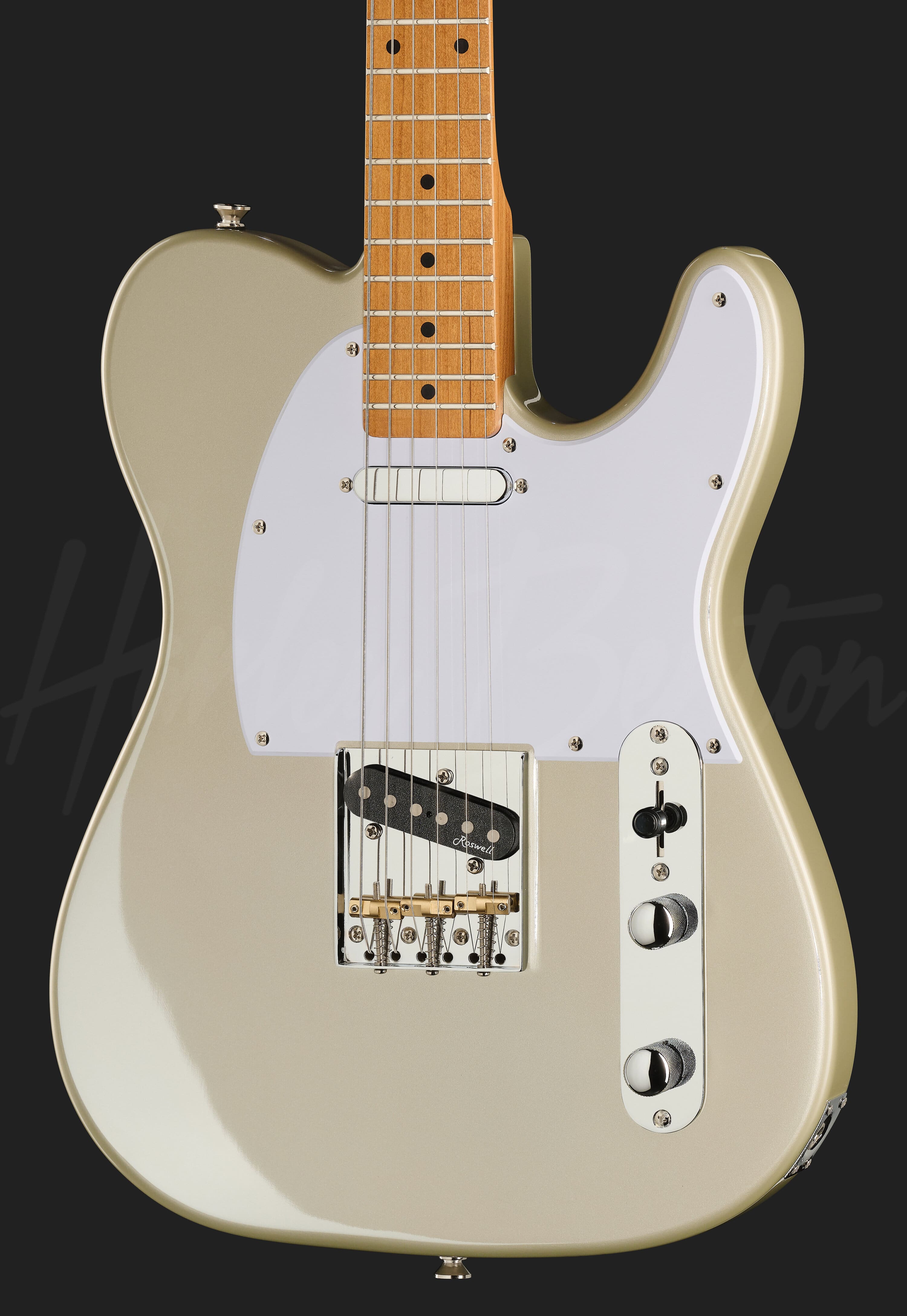 HARLEY BENTON ハーレーベントン 改TE-62CC IS 美中古品 TE-62CC IS - Harley Benton
