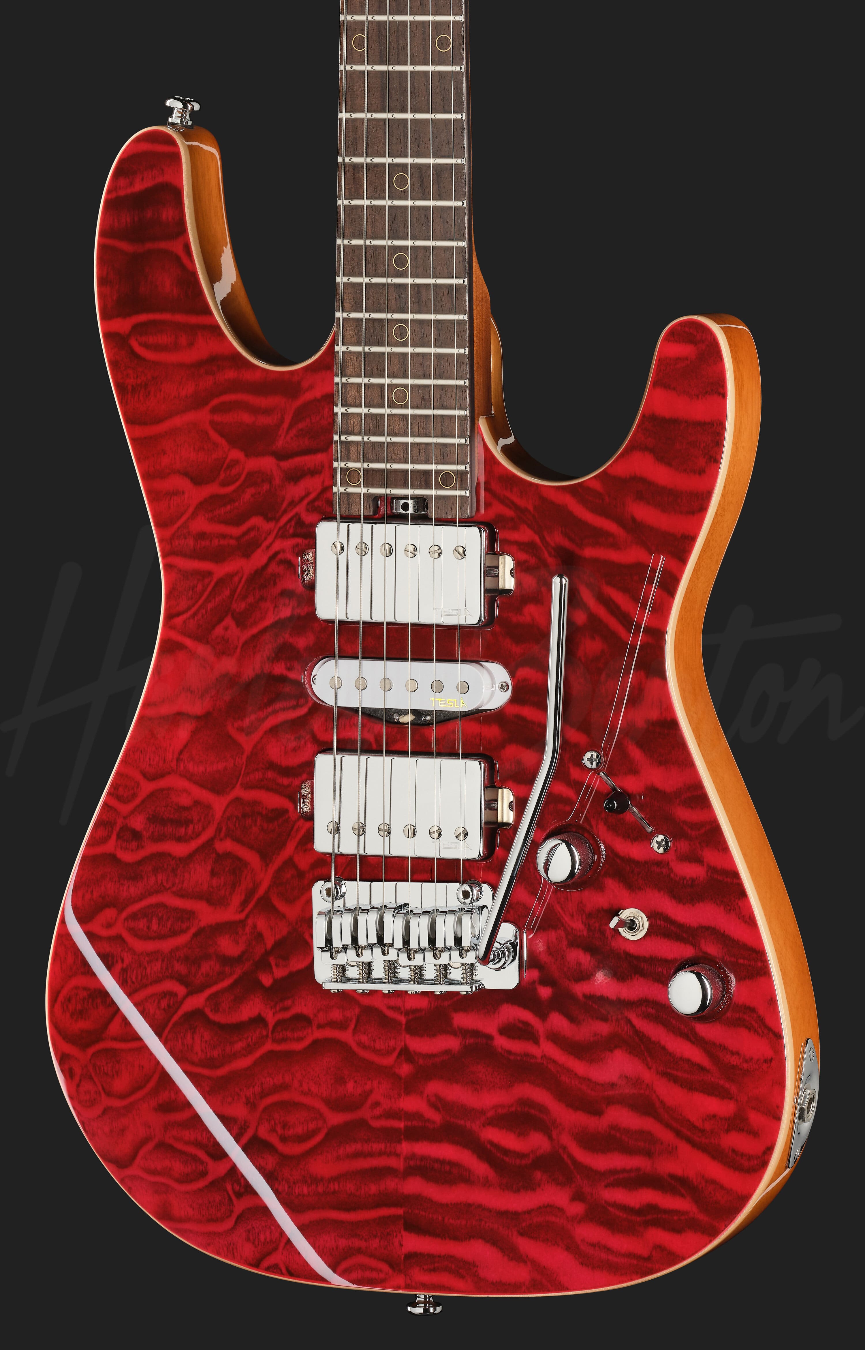 ART FUSIONコレクタブル ハードボディーズ ボディビルディング リロイ Fusion-IV HSH RW QRG - Harley Benton