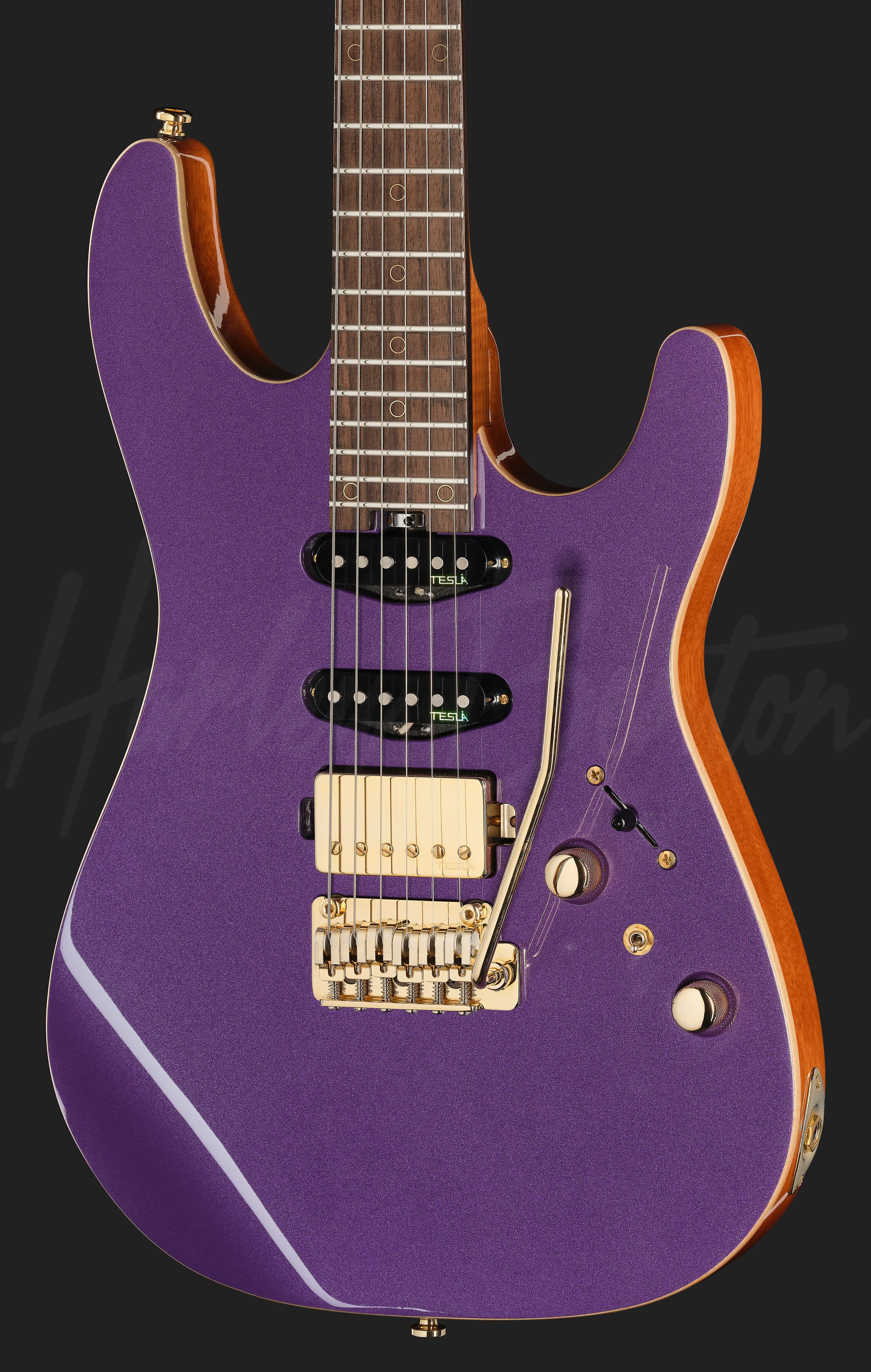 Fusion-IV HSS RW PM - Harley Benton