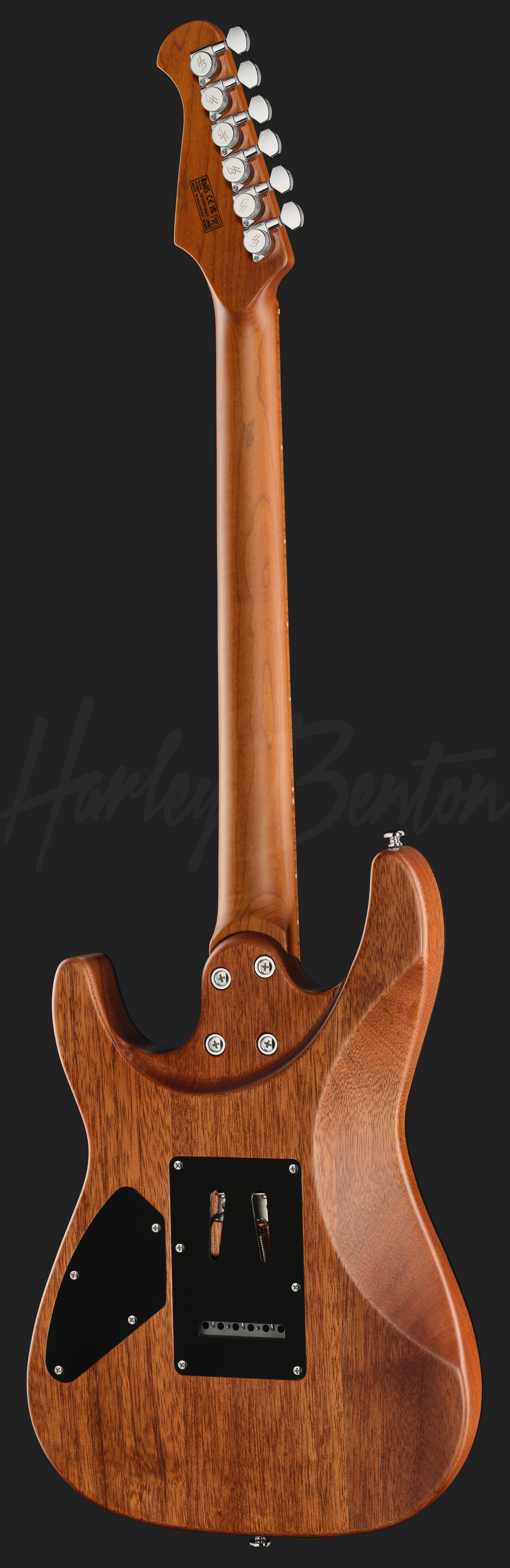 Fusion-IV HSS MN SGR - Harley Benton