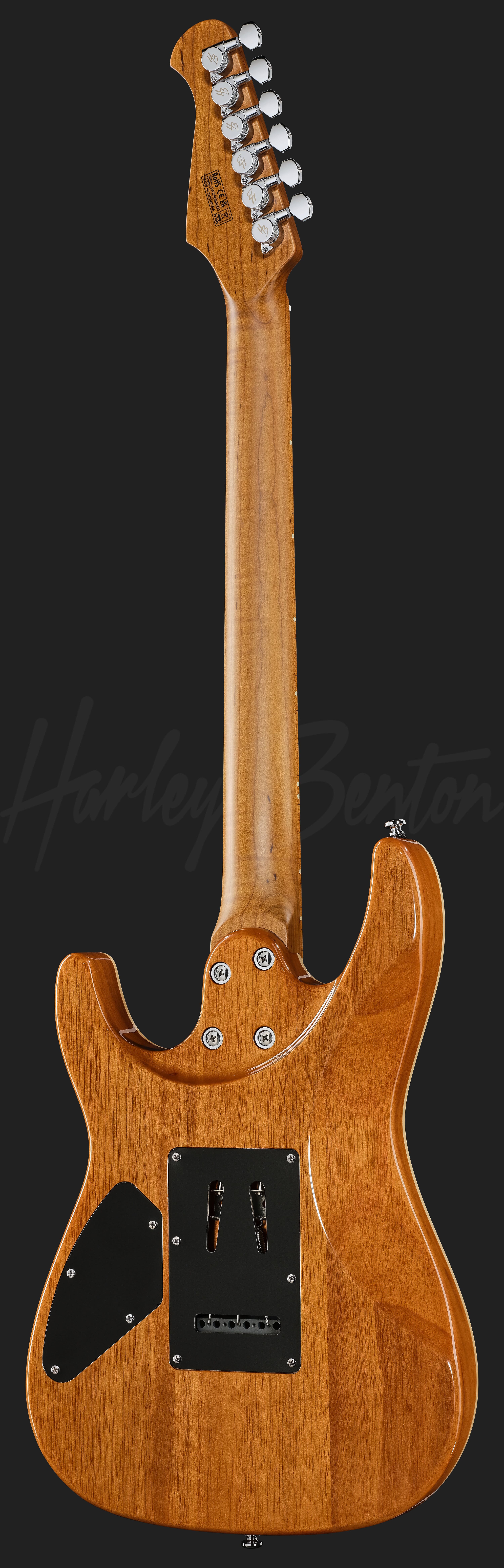 Fusion-IV HSS MN JM - Harley Benton