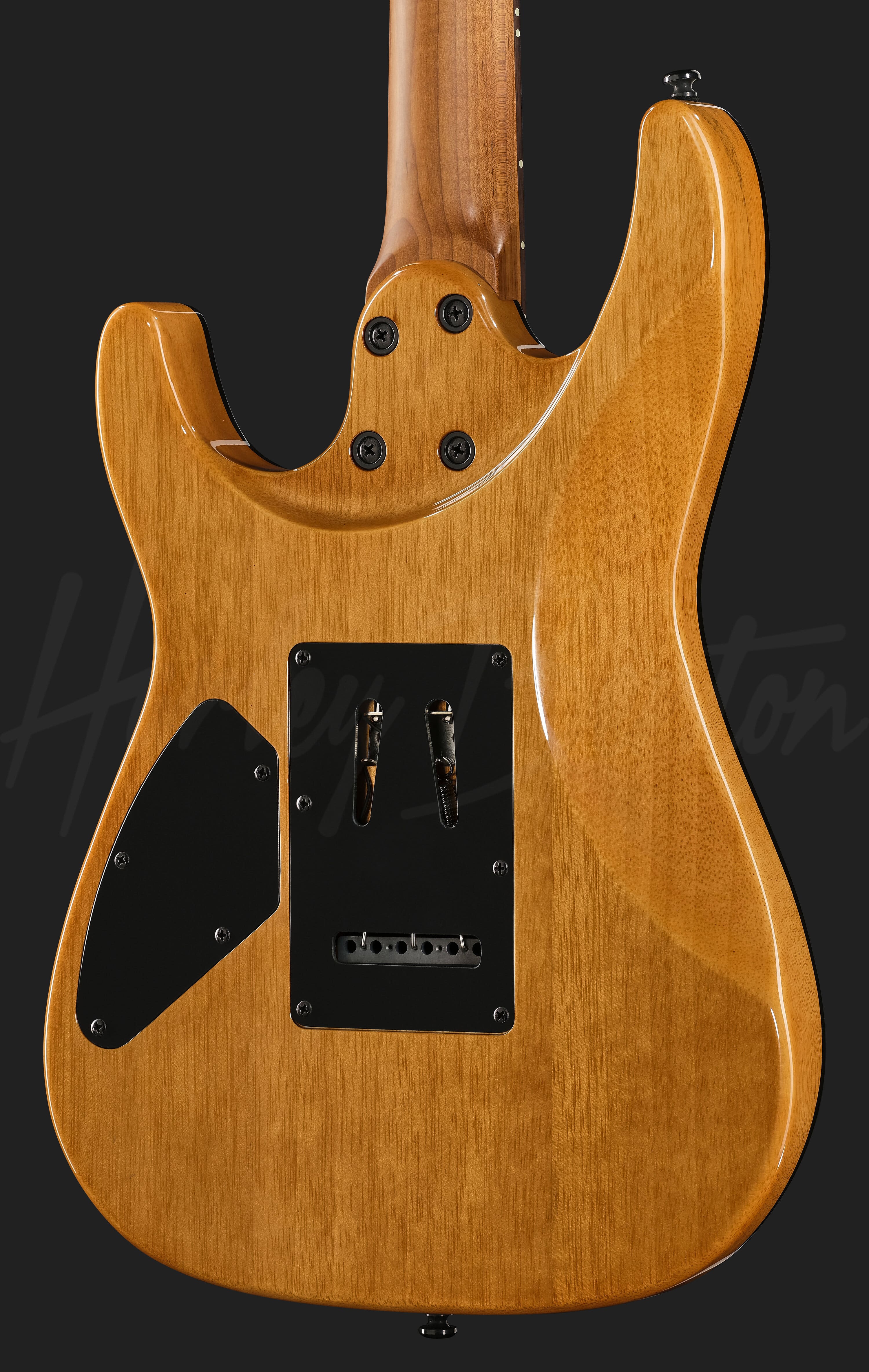 Fusion-IV HSS RW WM - Harley Benton