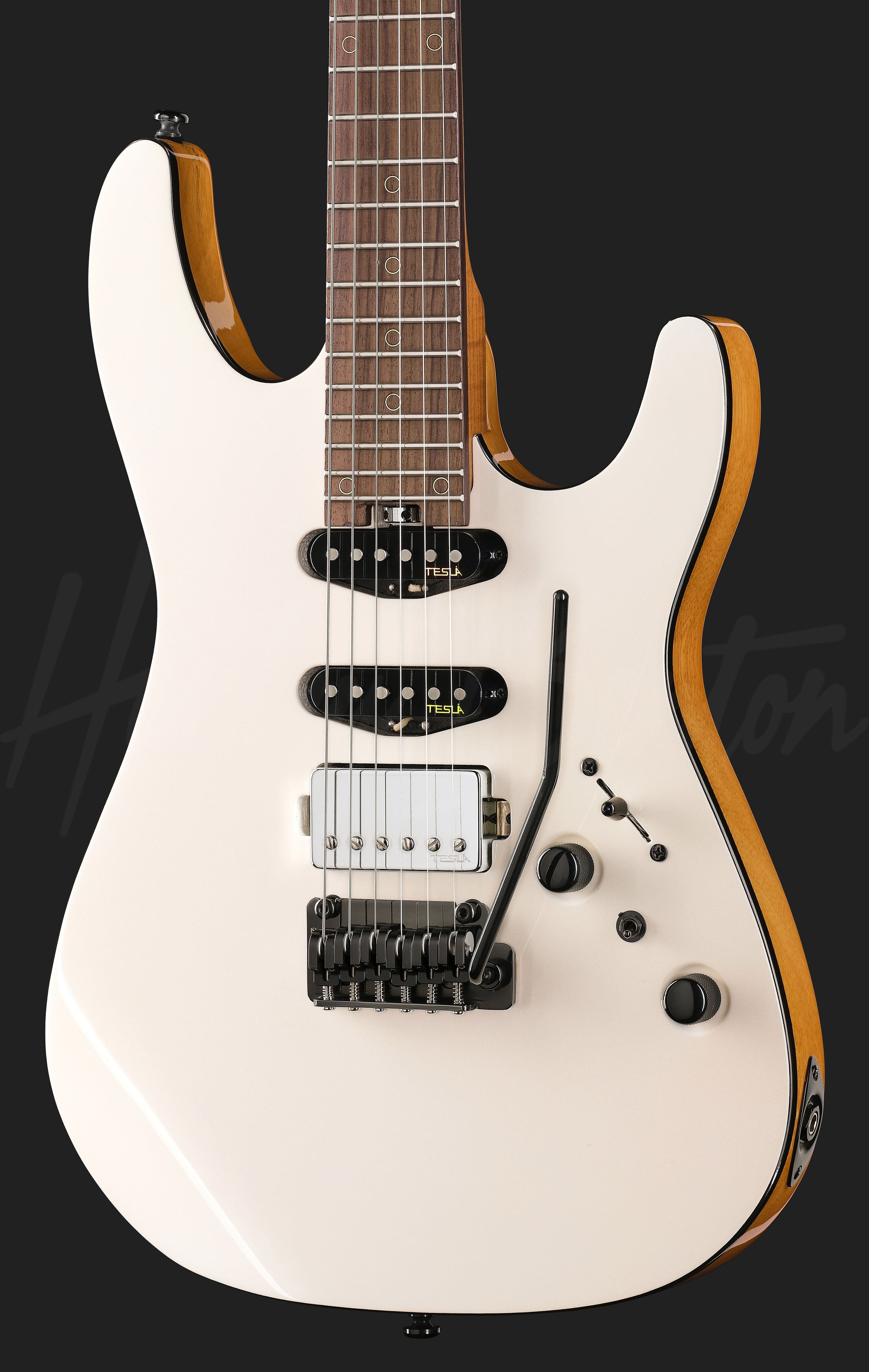 Fusion-IV HSS RW WM - Harley Benton