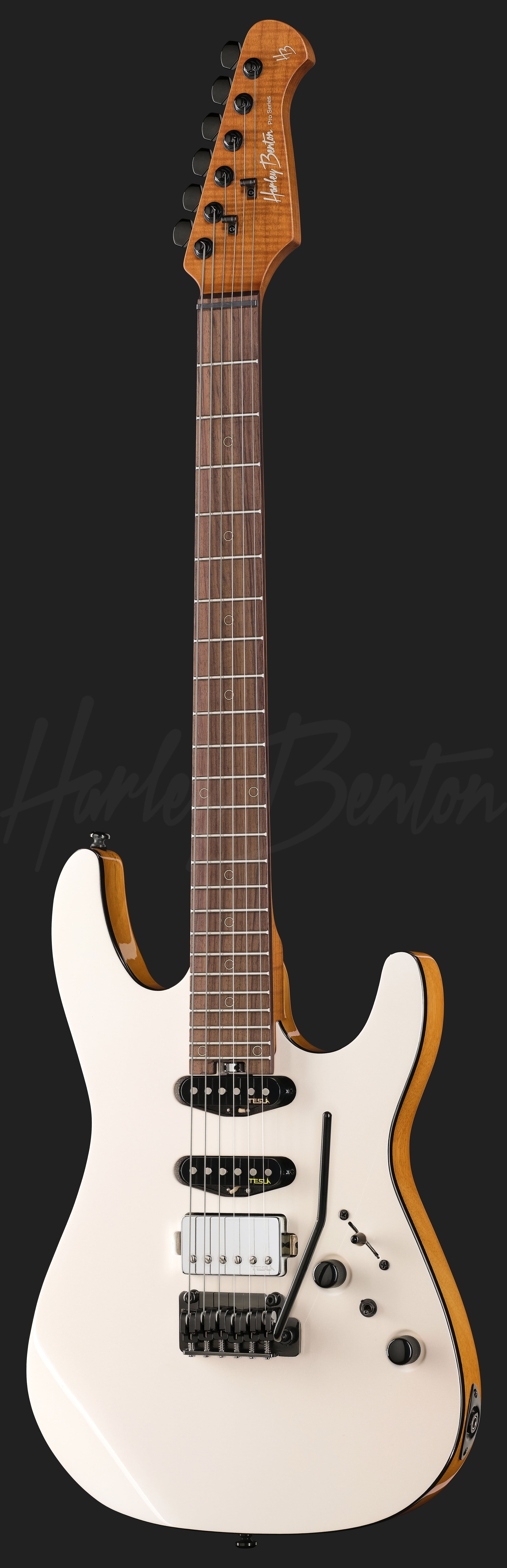 Fusion-IV HSS RW WM - Harley Benton