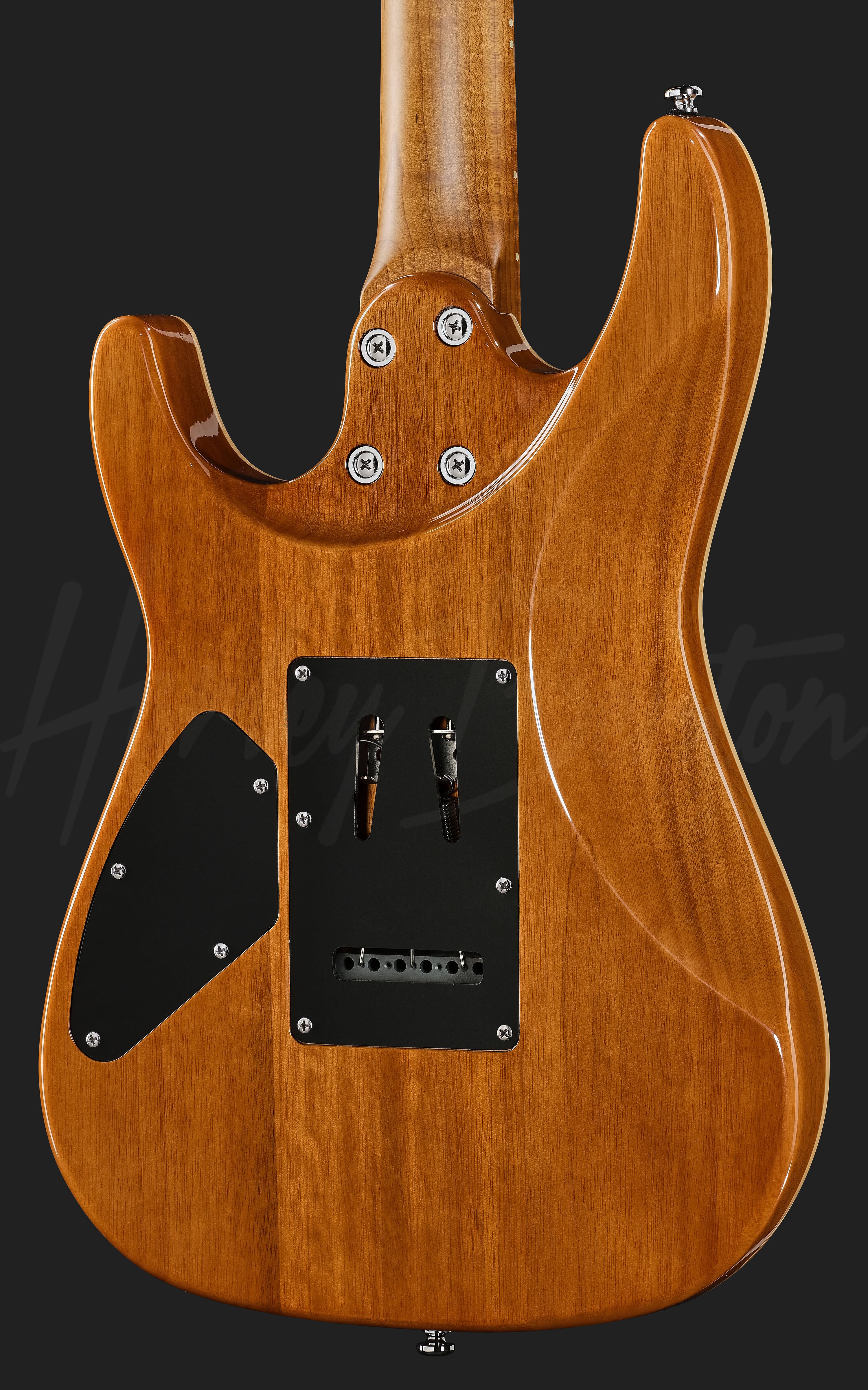 Fusion-IV HH MN FNT - Harley Benton