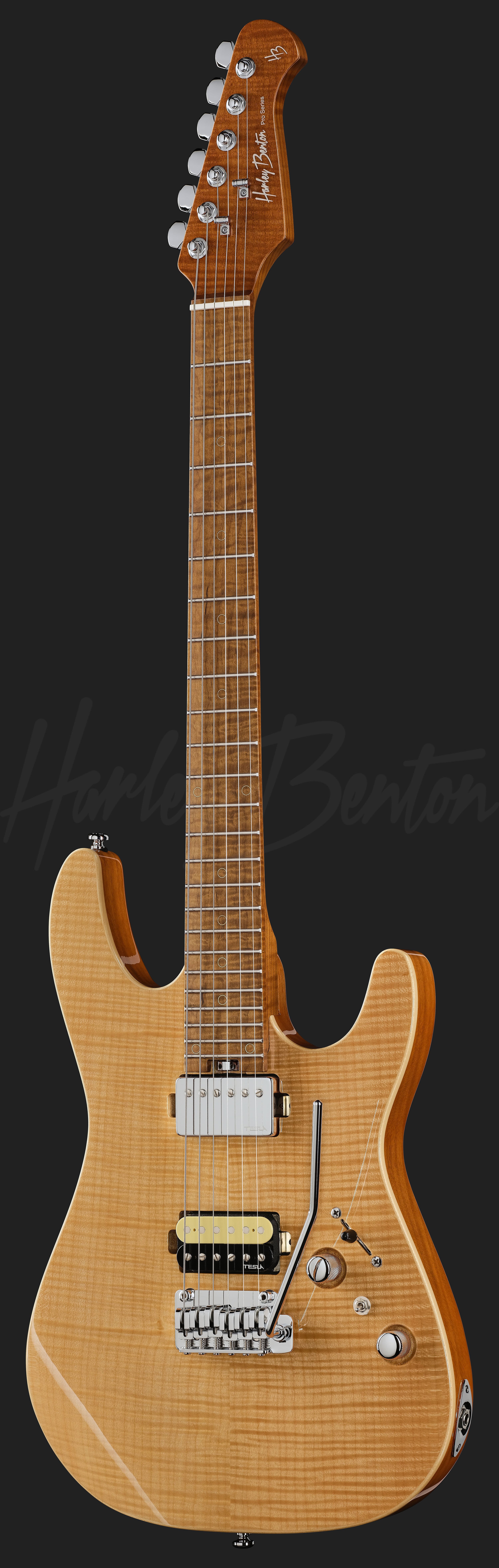 Fusion-IV HH MN FNT - Harley Benton