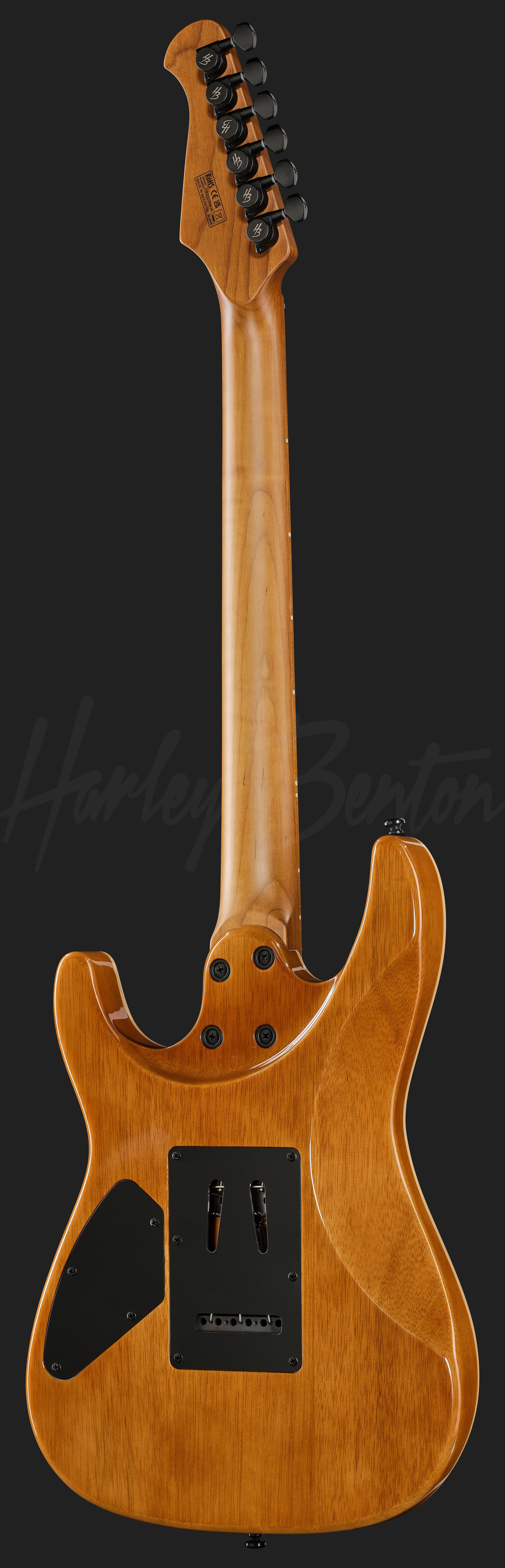 Fusion-IV HSS MN BM - Harley Benton