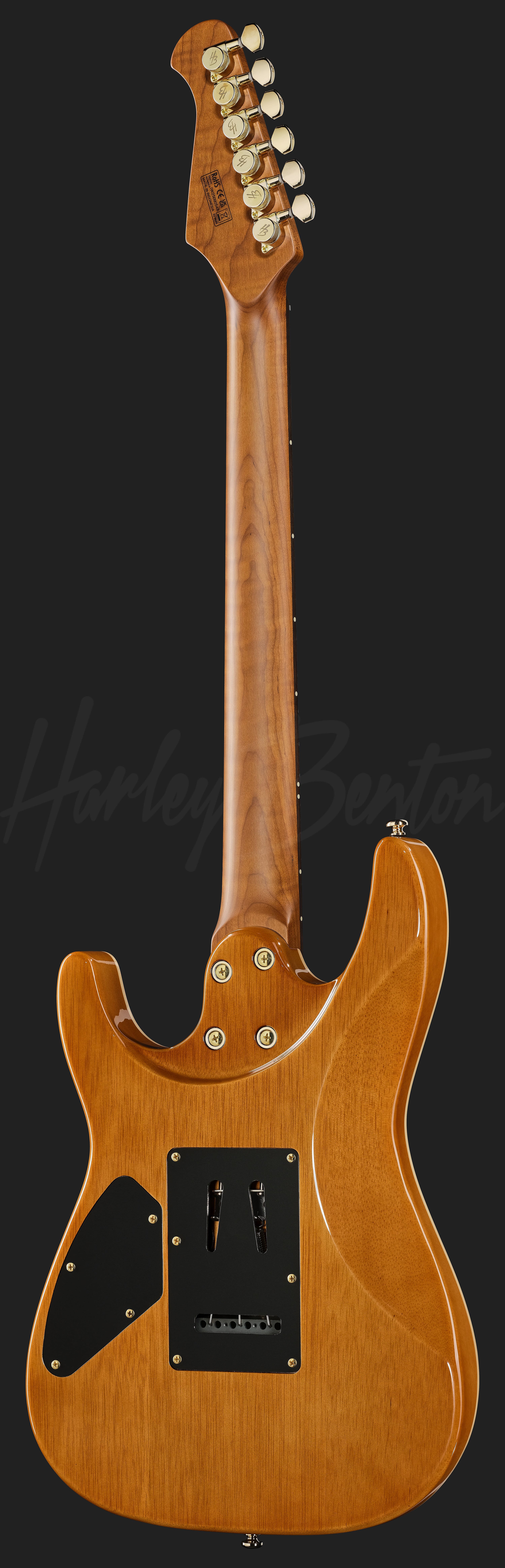 ART FUSIONコレクタブル ハードボディーズ ボディビルディング リロイ Fusion-IV HH RW PM - Harley Benton