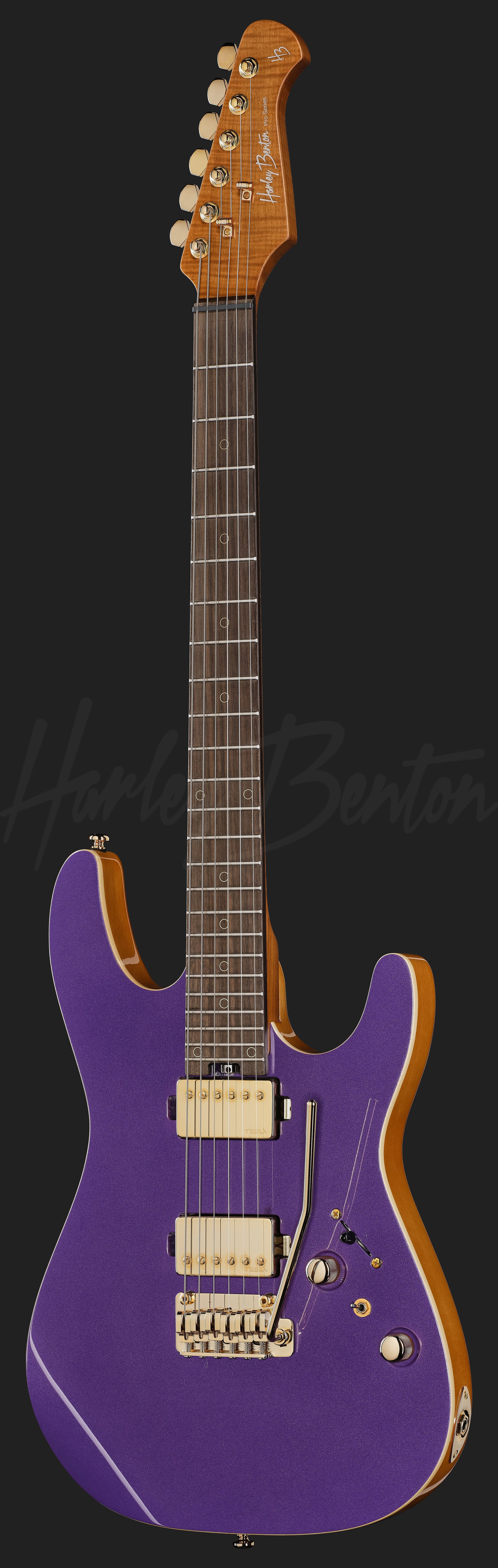 Fusion-IV HH RW PM - Harley Benton