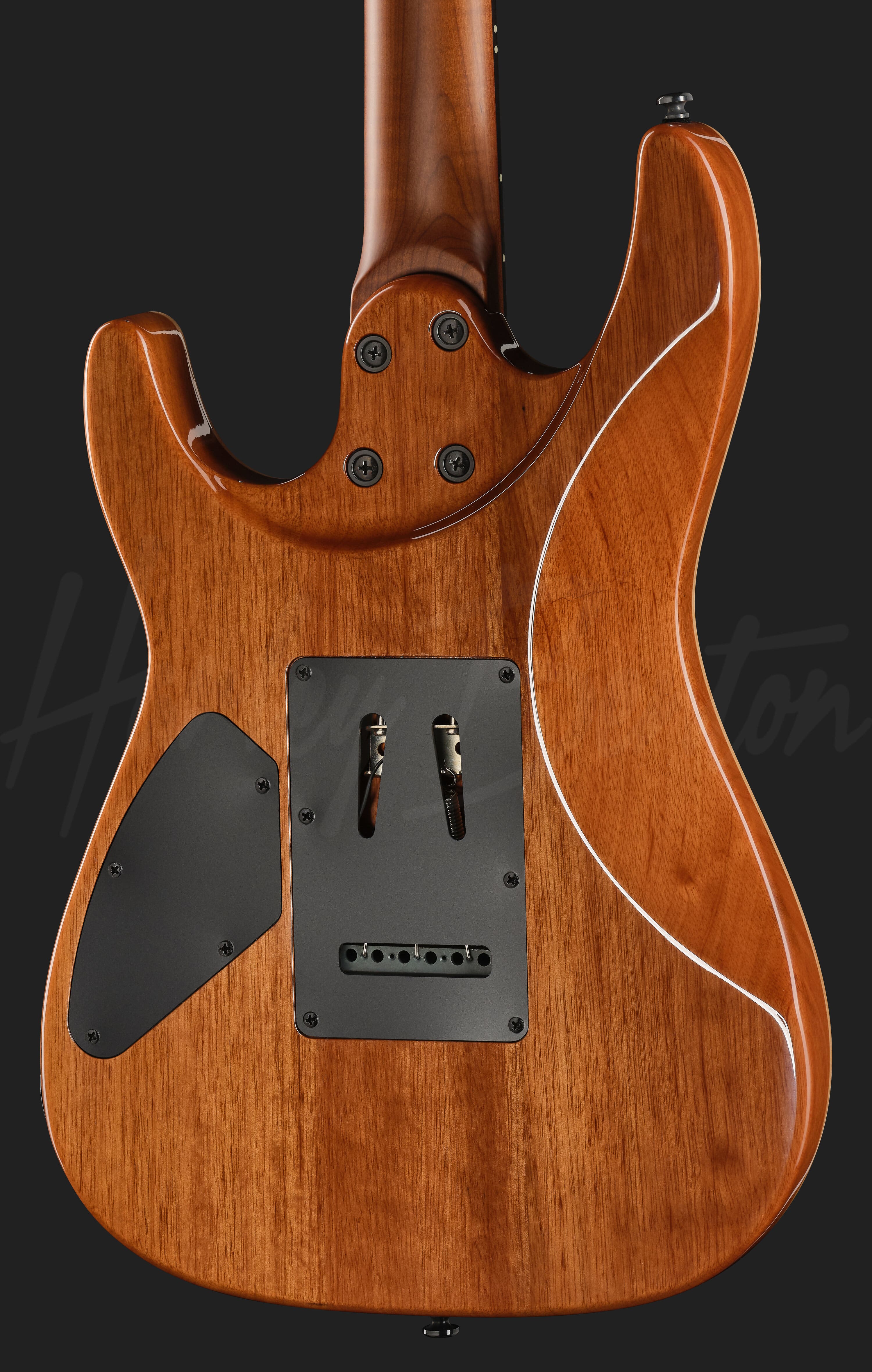 Fusion-IV HSH RW BM - Harley Benton