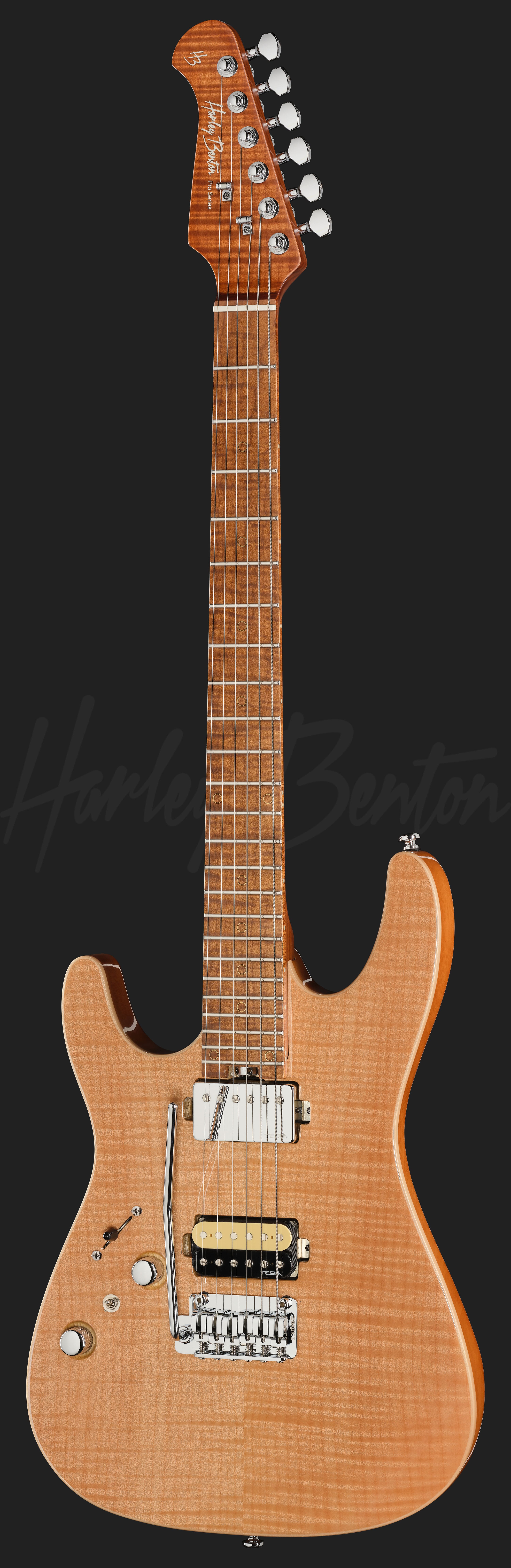 Fusion-IV HH LH MN FNT - Harley Benton
