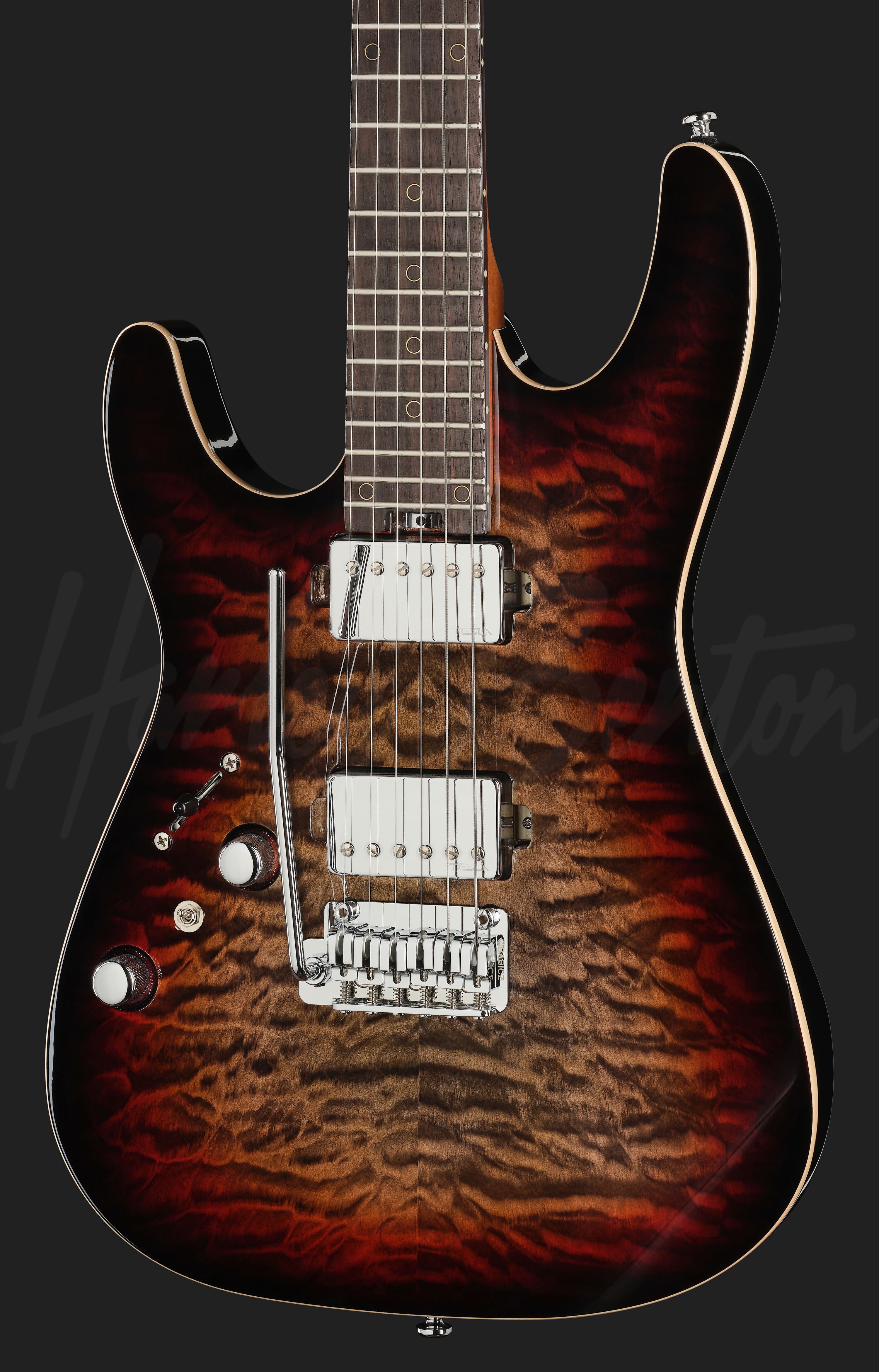 ART FUSIONコレクタブル ハードボディーズ ボディビルディング リロイ Fusion-IV HH LH RW QDG - Harley Benton