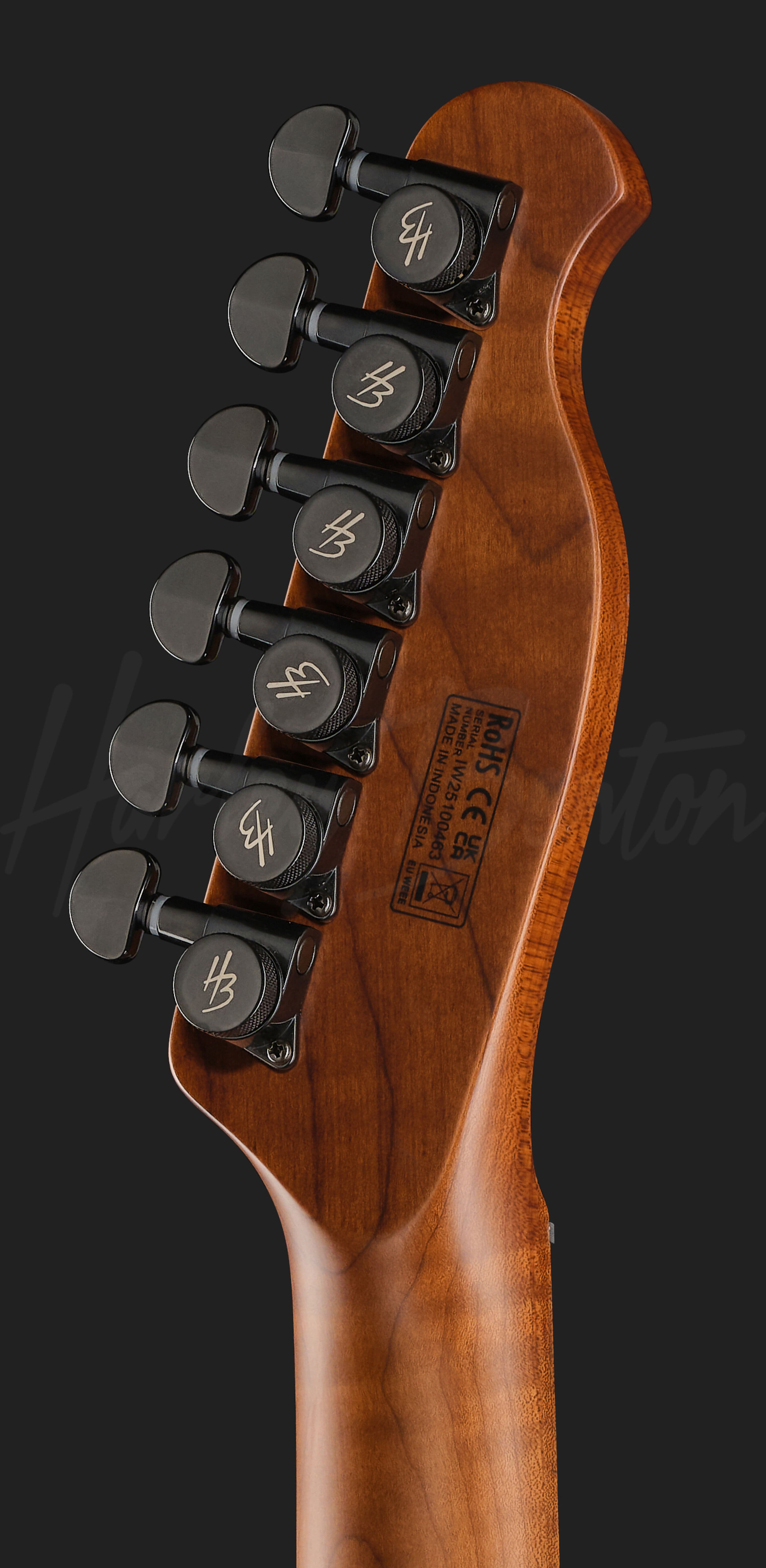Fusion-T II EMG MN HT SBK - Harley Benton