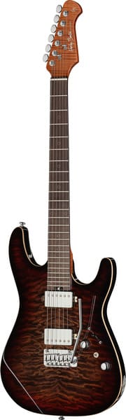 ART FUSIONコレクタブル ハードボディーズ ボディビルディング リロイ Fusion-IV HH RW QDG - Harley Benton