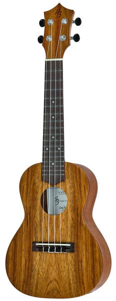 Hawaii Koa Concert Ukulele